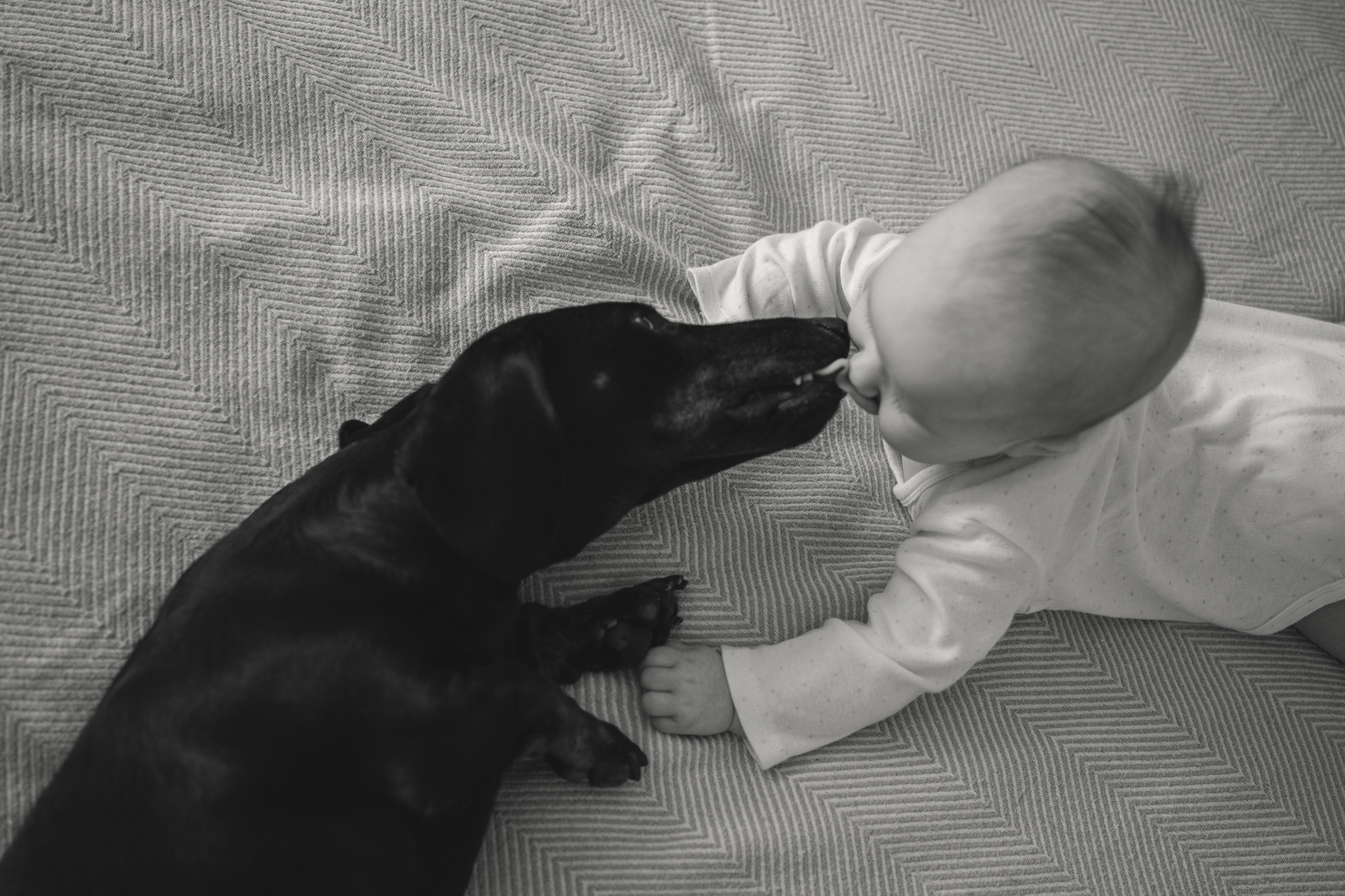 Ева, Катя, Егор. Семейный фотограф Ольга Мишустина в Самаре