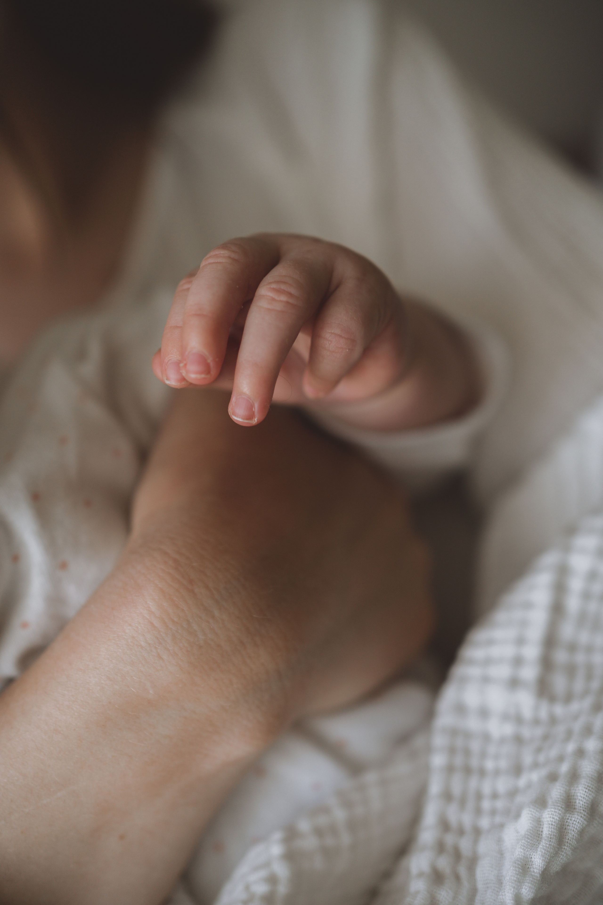 Ева, Катя, Егор. Семейный фотограф Ольга Мишустина в Самаре