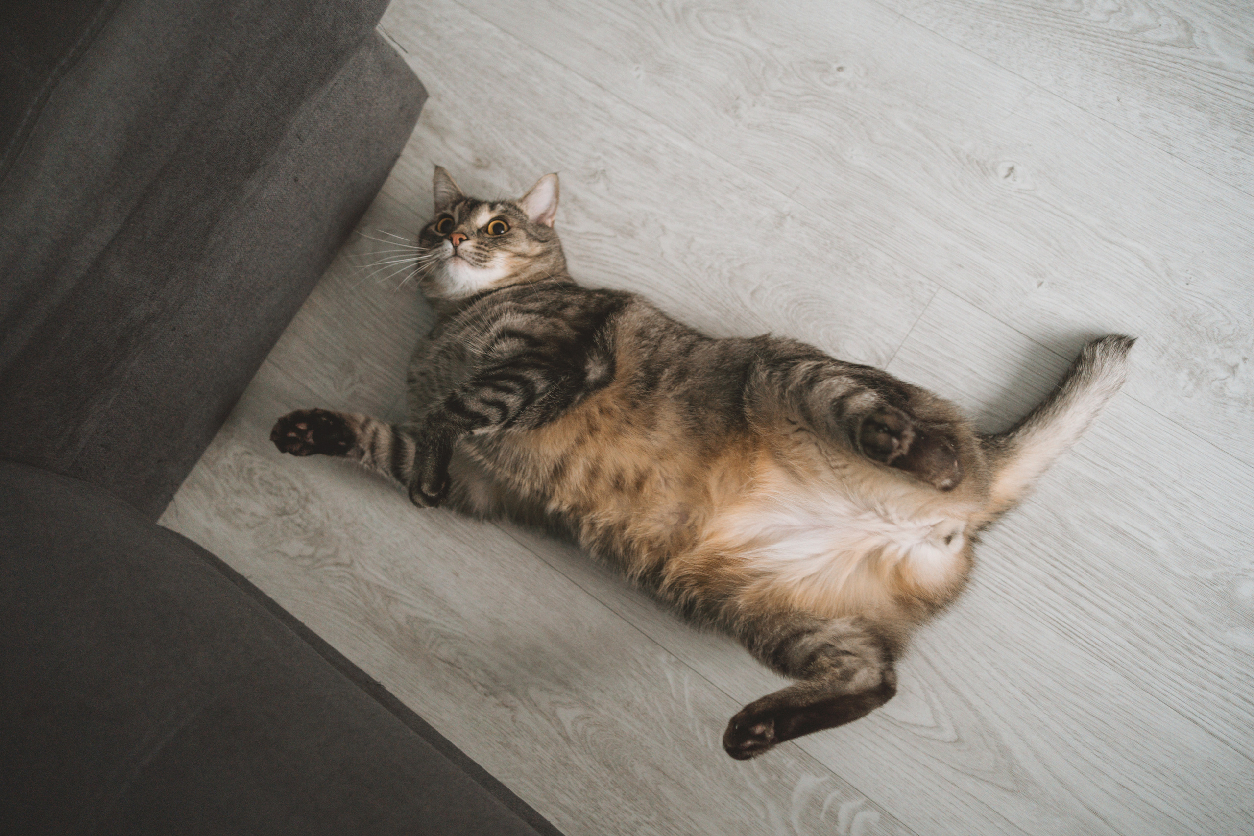 Наталья и дочка. Семейный фотограф Ольга Мишустина в Самаре