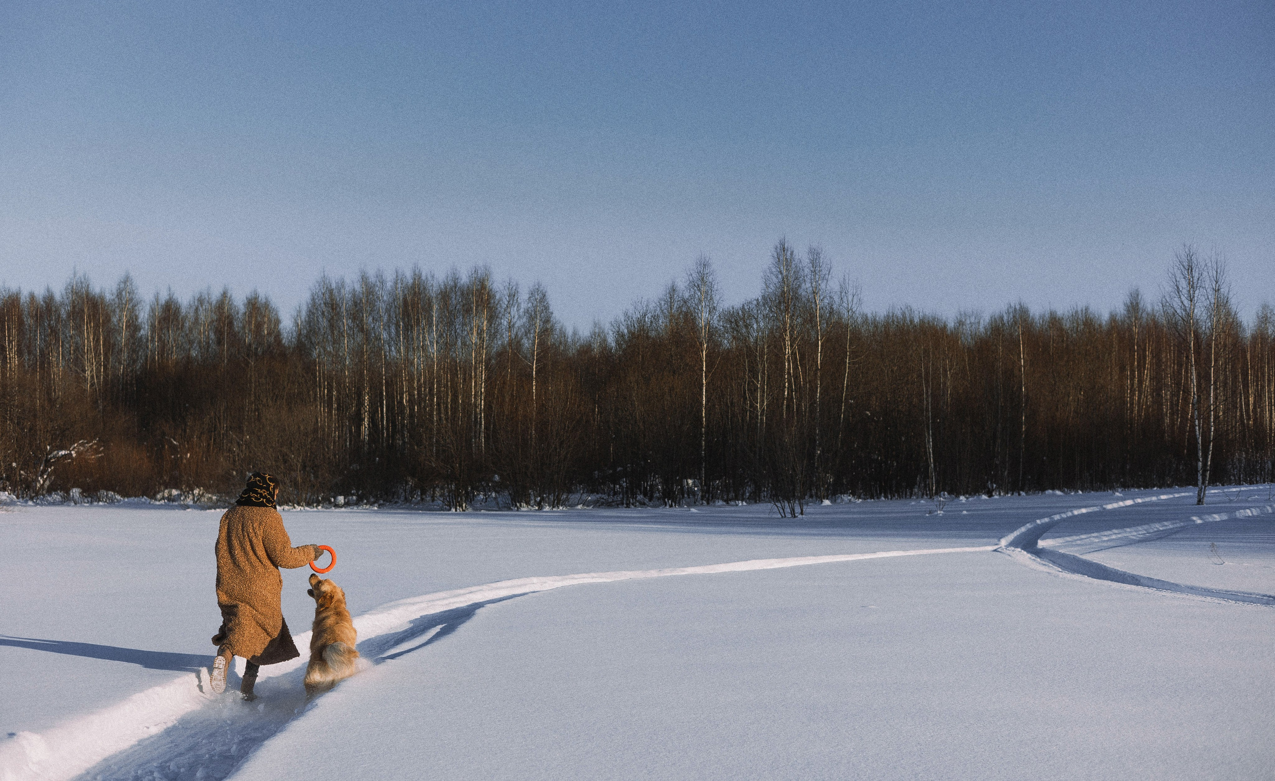 Лена и Декстер. Фотограф-анималист Богданова Полина