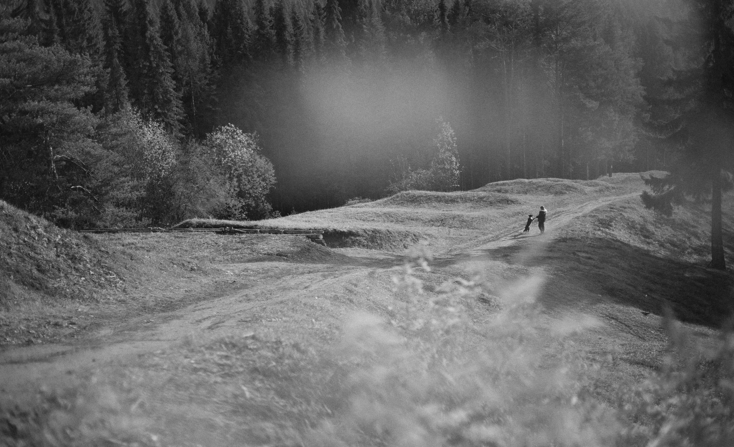 Даша и Дже. Фотограф-анималист Богданова Полина