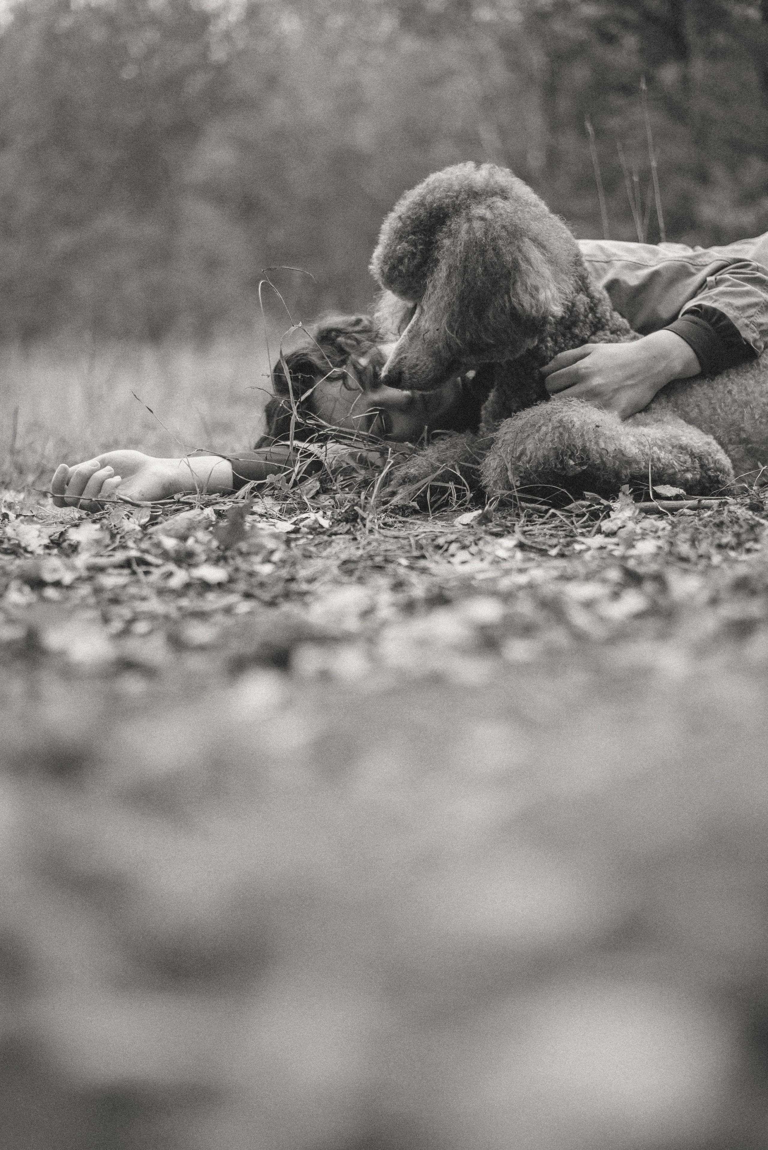 Алёна и Смоки. Фотограф-анималист Богданова Полина