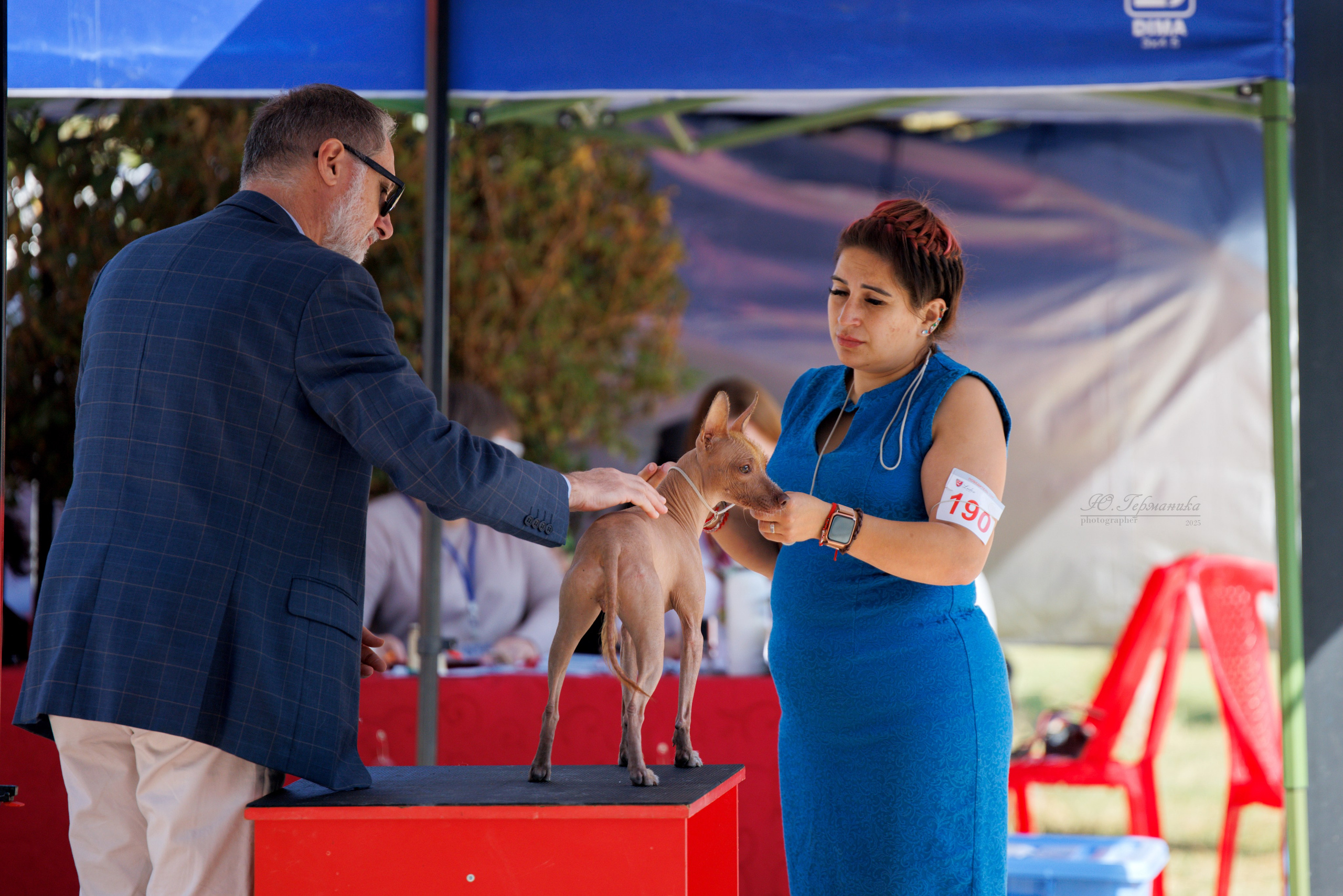 Ташкент 3хCACIB 3-5.10.2025. Фотограф-анималист Юлия Германика