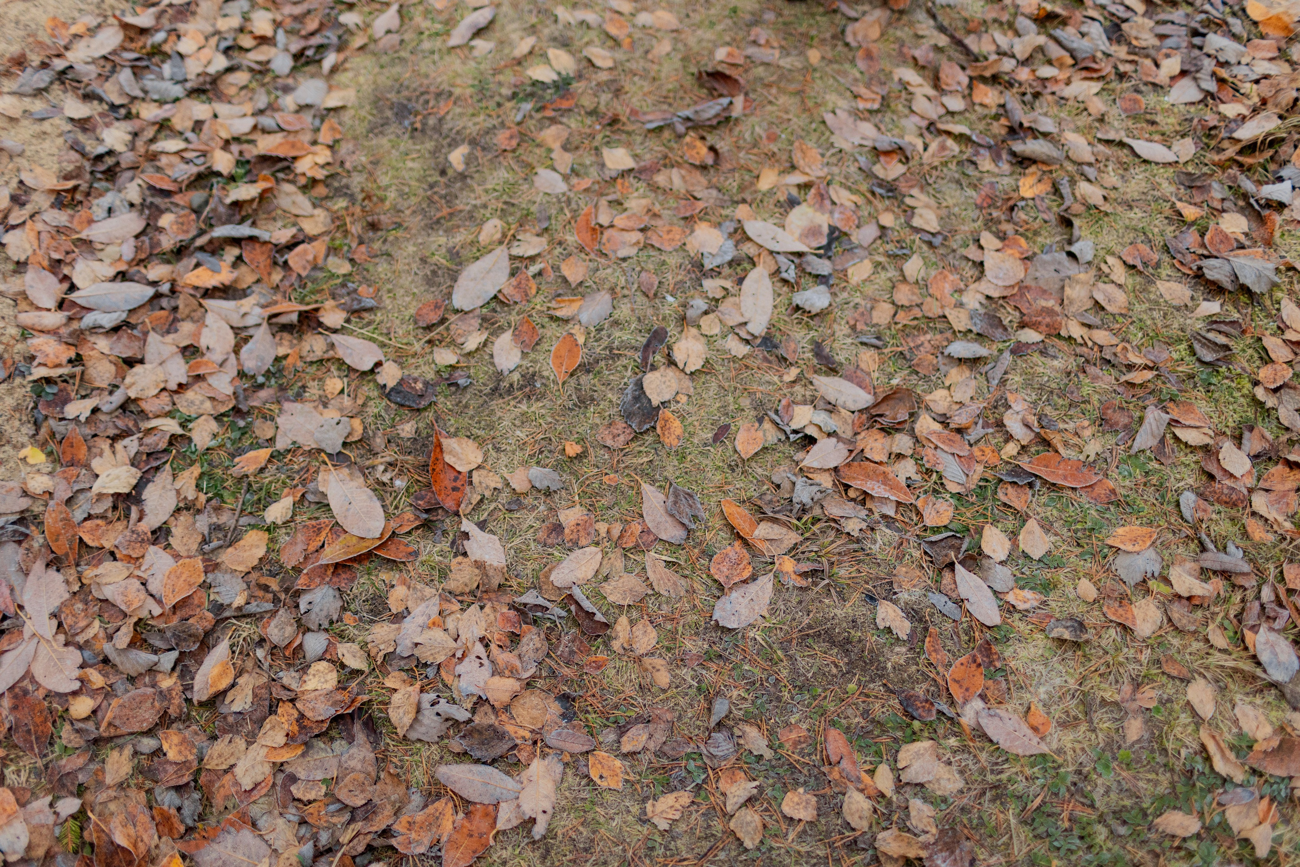 Съемка для глемпинг-отеля Хюгге Кэмп. Природа. Саша Кушнерова Фотографии. Sasha Kushnerova Photos