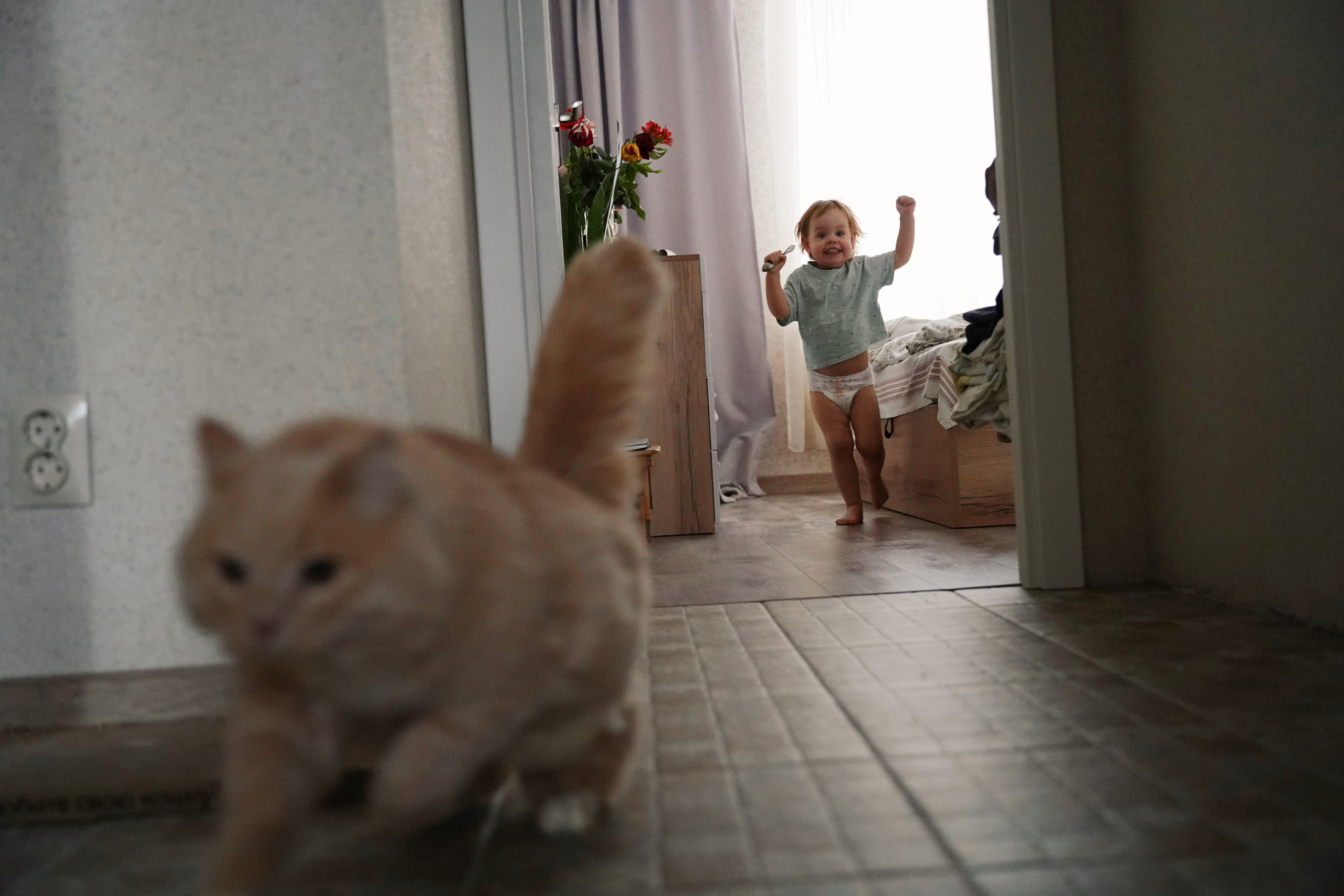 LUNCH ALICE. Фотограф и визуальный художник в Туле / Николай Рейзвих