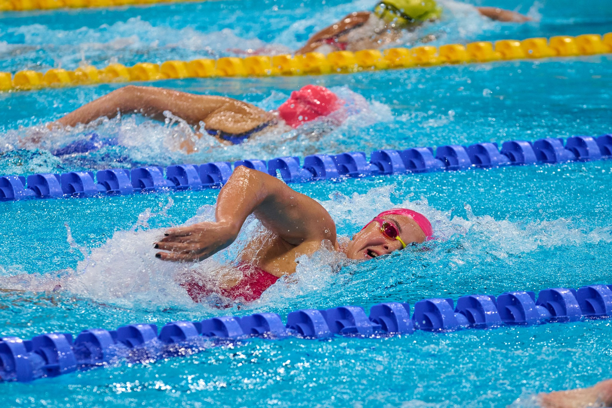 Кубок России по плаванию 2024 г. Екатеринбург. Мезенцев Евгений фотограф