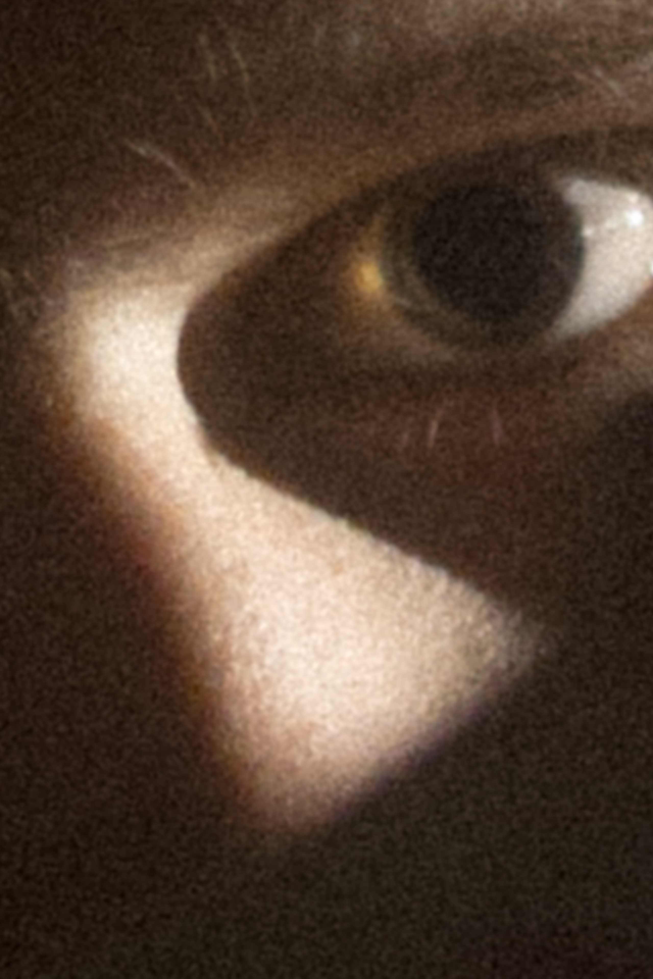 Мой дом и кто в нем живет. Свадебный фотограф Колесников Антон