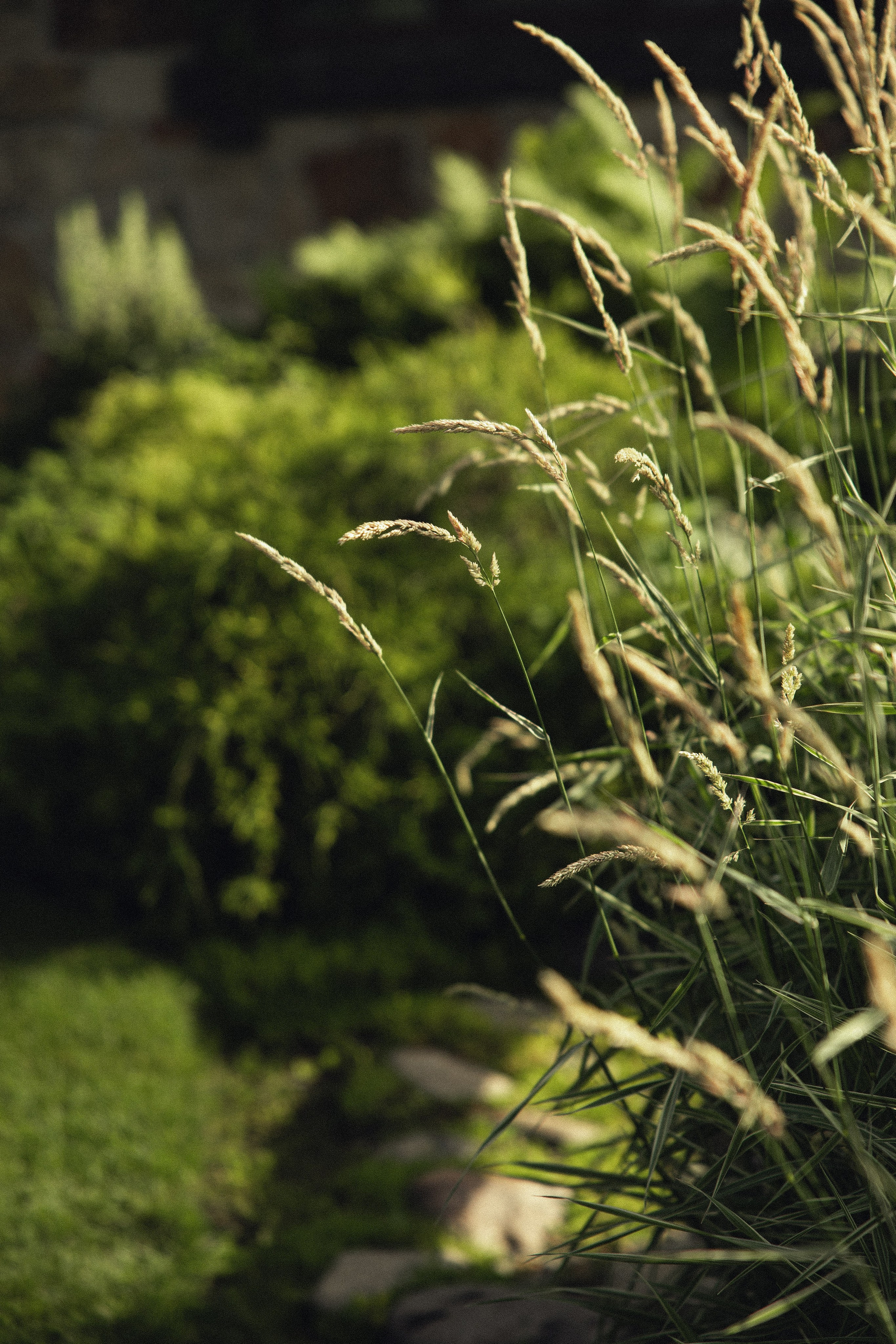 Свадебная история для Анастасия и Константина. Шум дождя Берендей Хаус…. Свадебный и семейный фотограф Рассказова Виктория