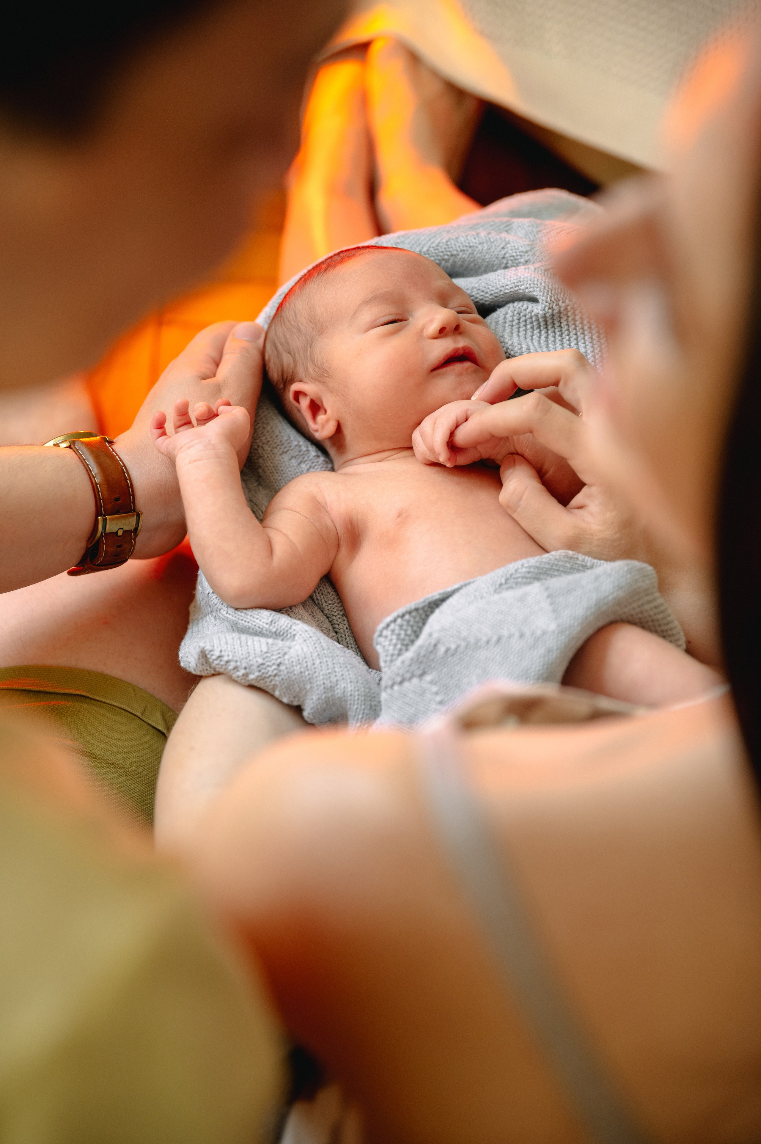 КАТЯ, КОЛЯ И ЗЛАТА. Шашкова Вероника / Свадебный и семейный фотограф Москва и Ярославль
