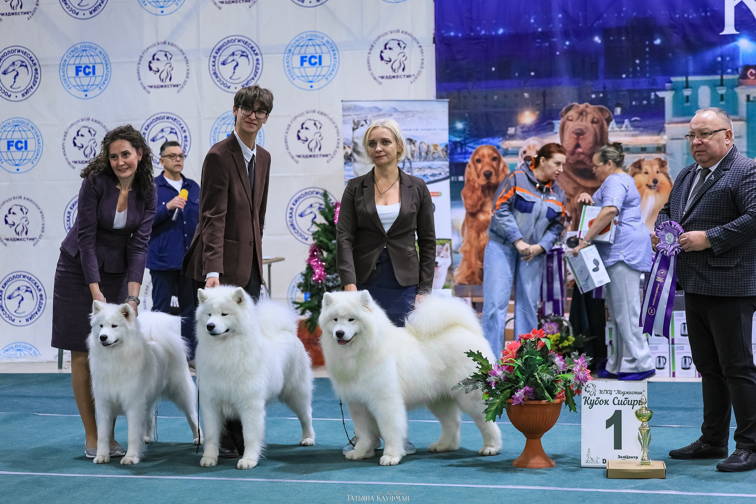 6-7.12.25 — 1-4 Национальные выставки собак в Новосибирске (2х рейтинговые). Фотограф Анималист из Новосибирска Татьяна Кауфман