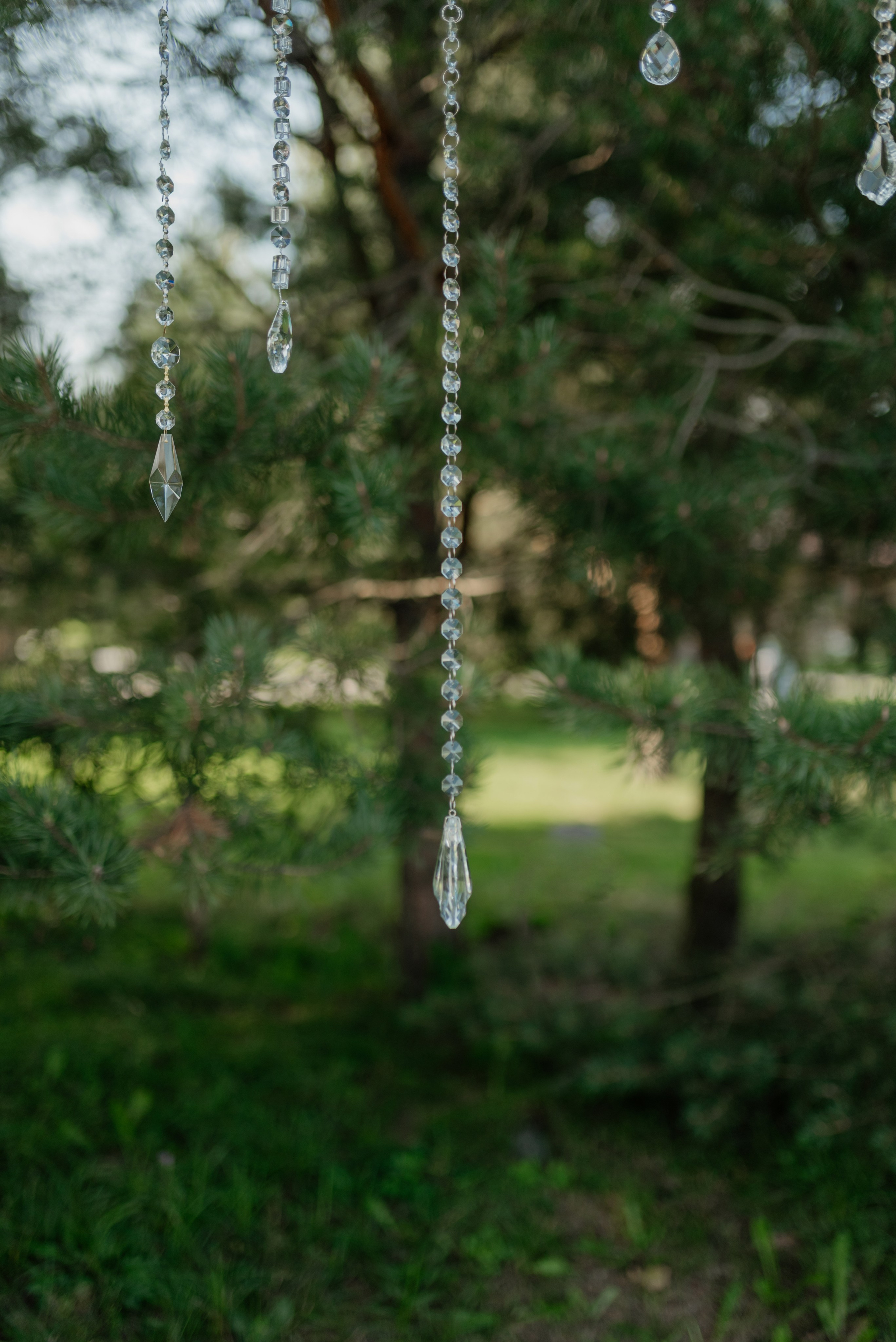 Степан и Анастасия. Свадебный и Семейный фотограф в Ярославле Алёна Колясникова