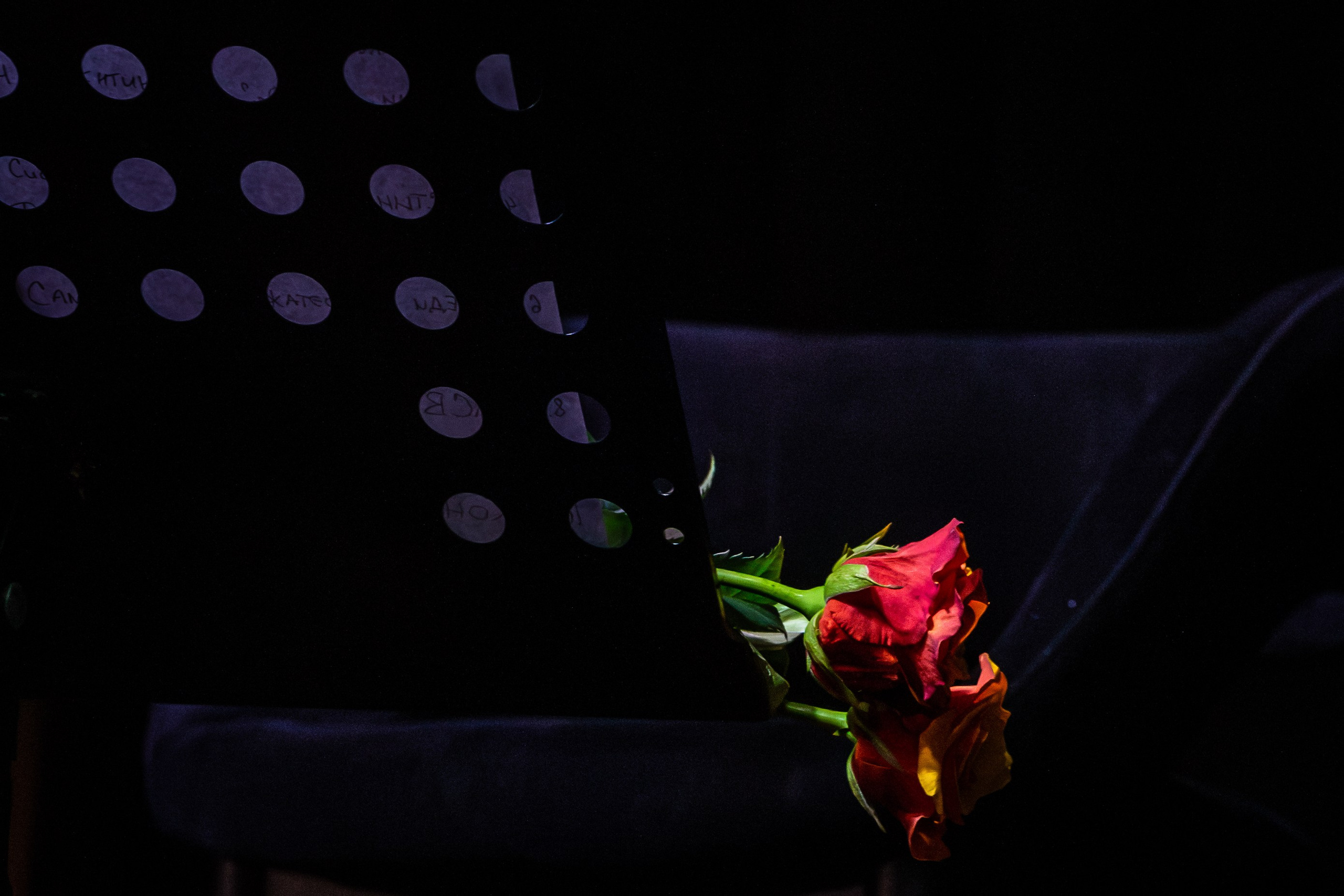 Екатерина Яшникова DKRT. Екатерина Рыбина фотограф в Нижнем Новгороде