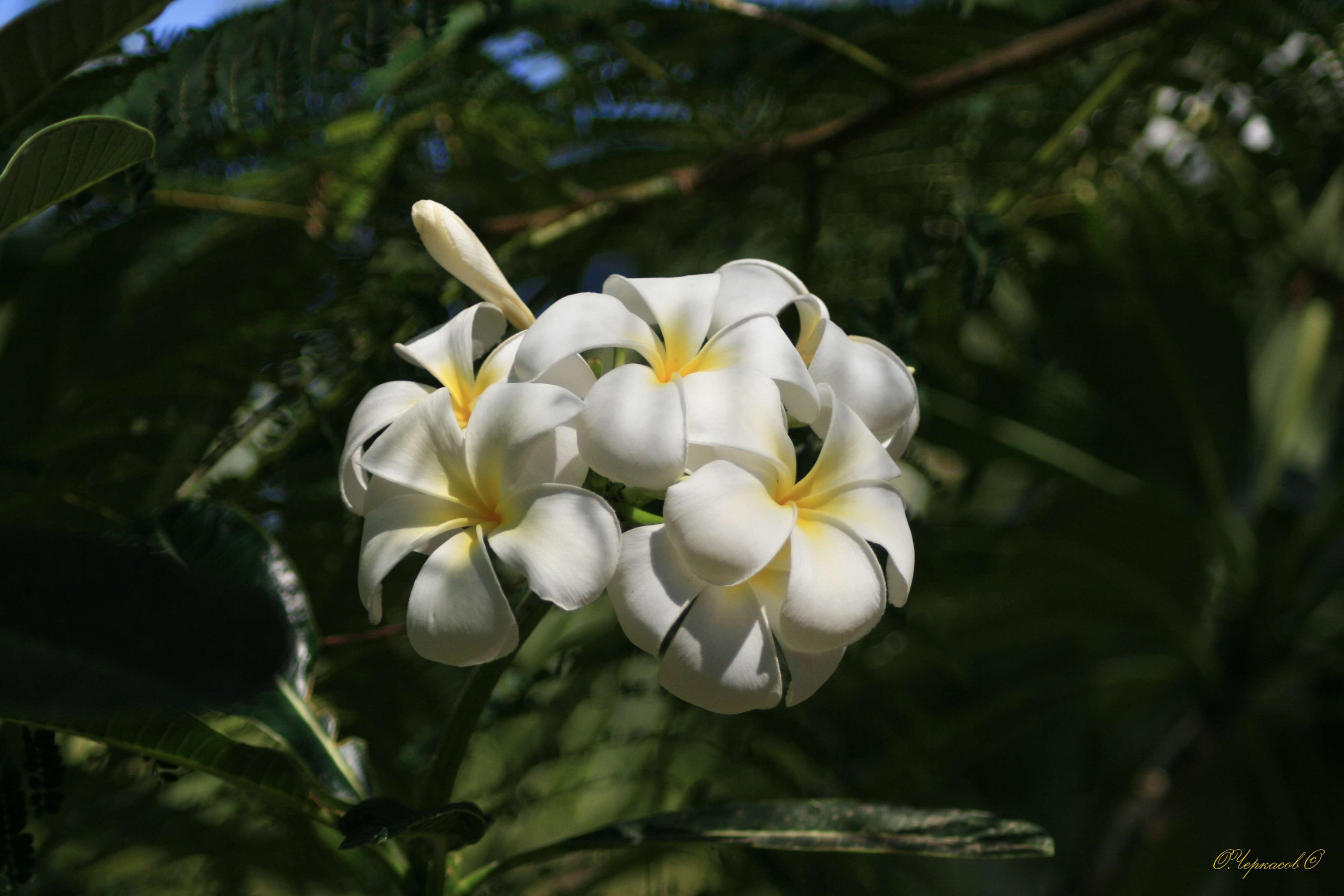 Вьетнам 2008 г. Улица, люди, жизнь…