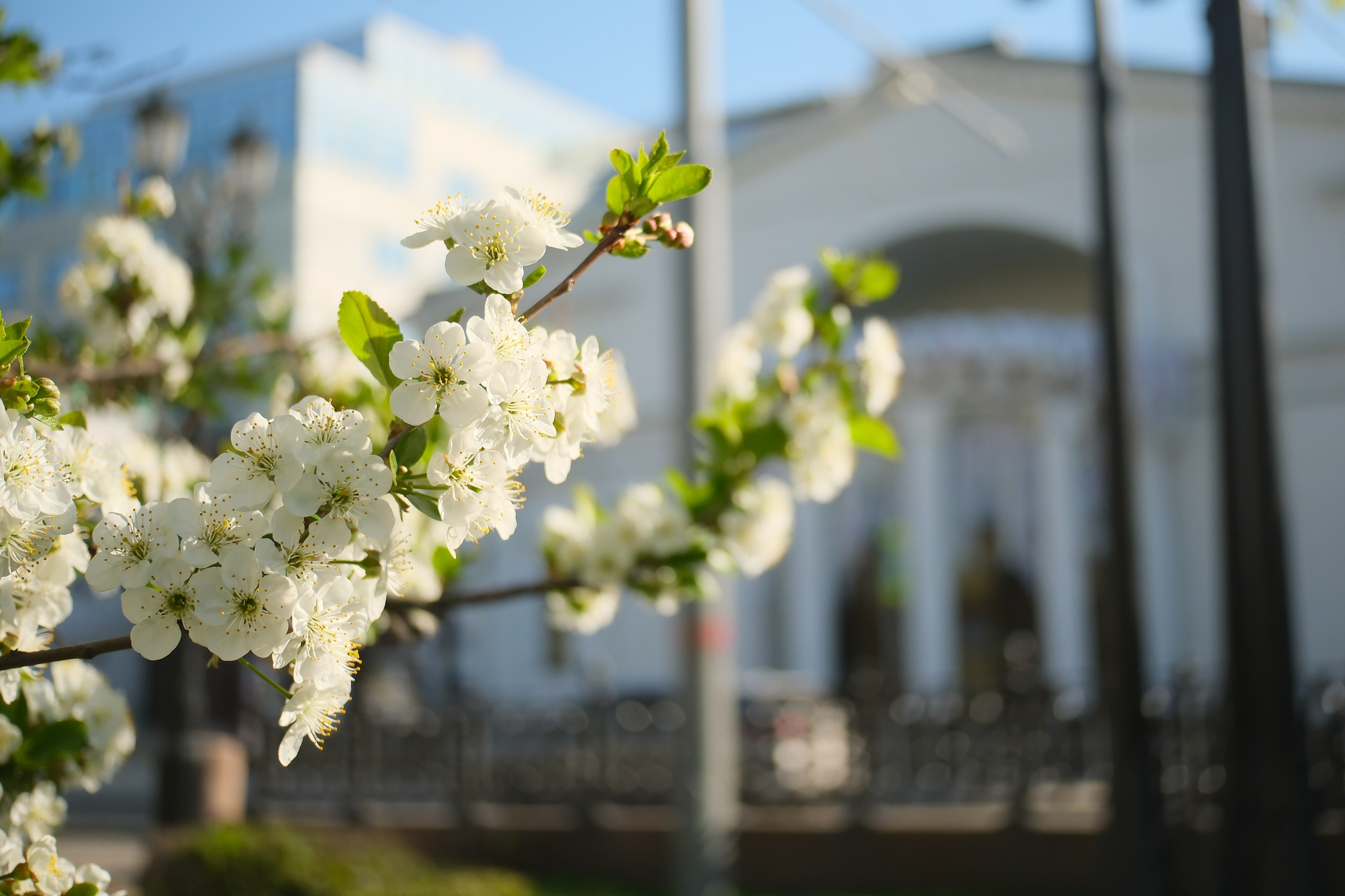 Улица, люди, жизнь…
