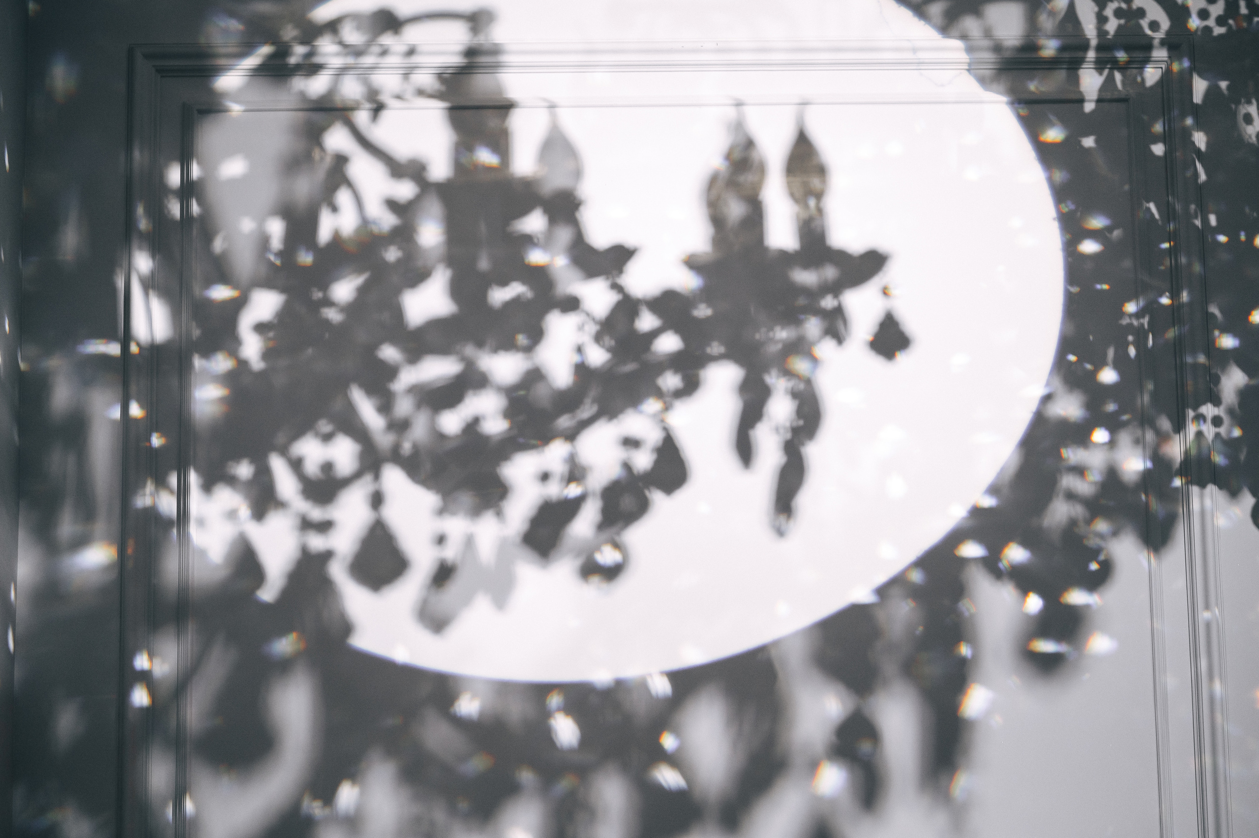 Тома и Антон. Свадебный видеограф в Москве Никонова Анна