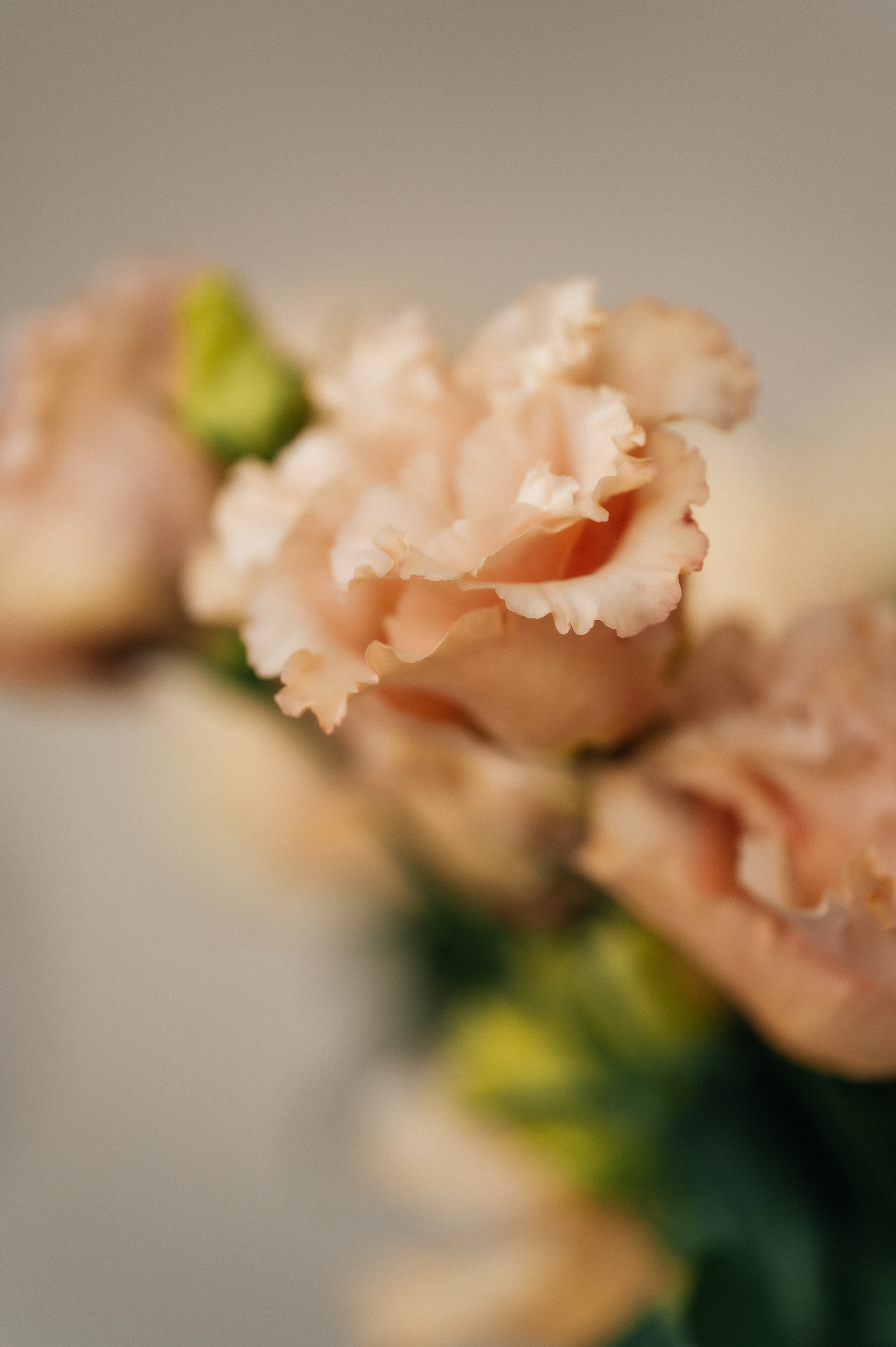 Флорист. Свадебный видеограф в Москве Никонова Анна