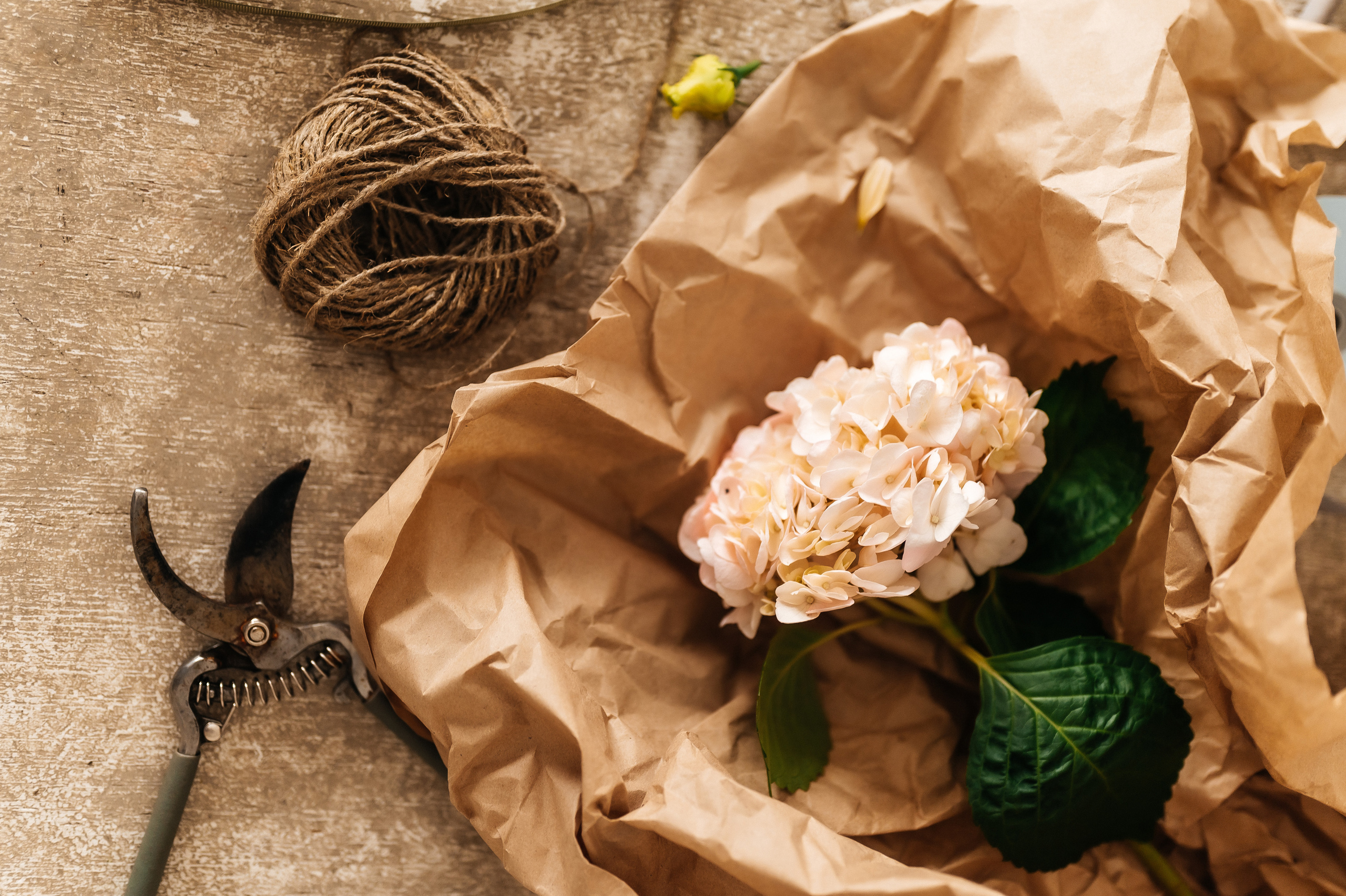 Флорист. Свадебный видеограф в Москве Никонова Анна