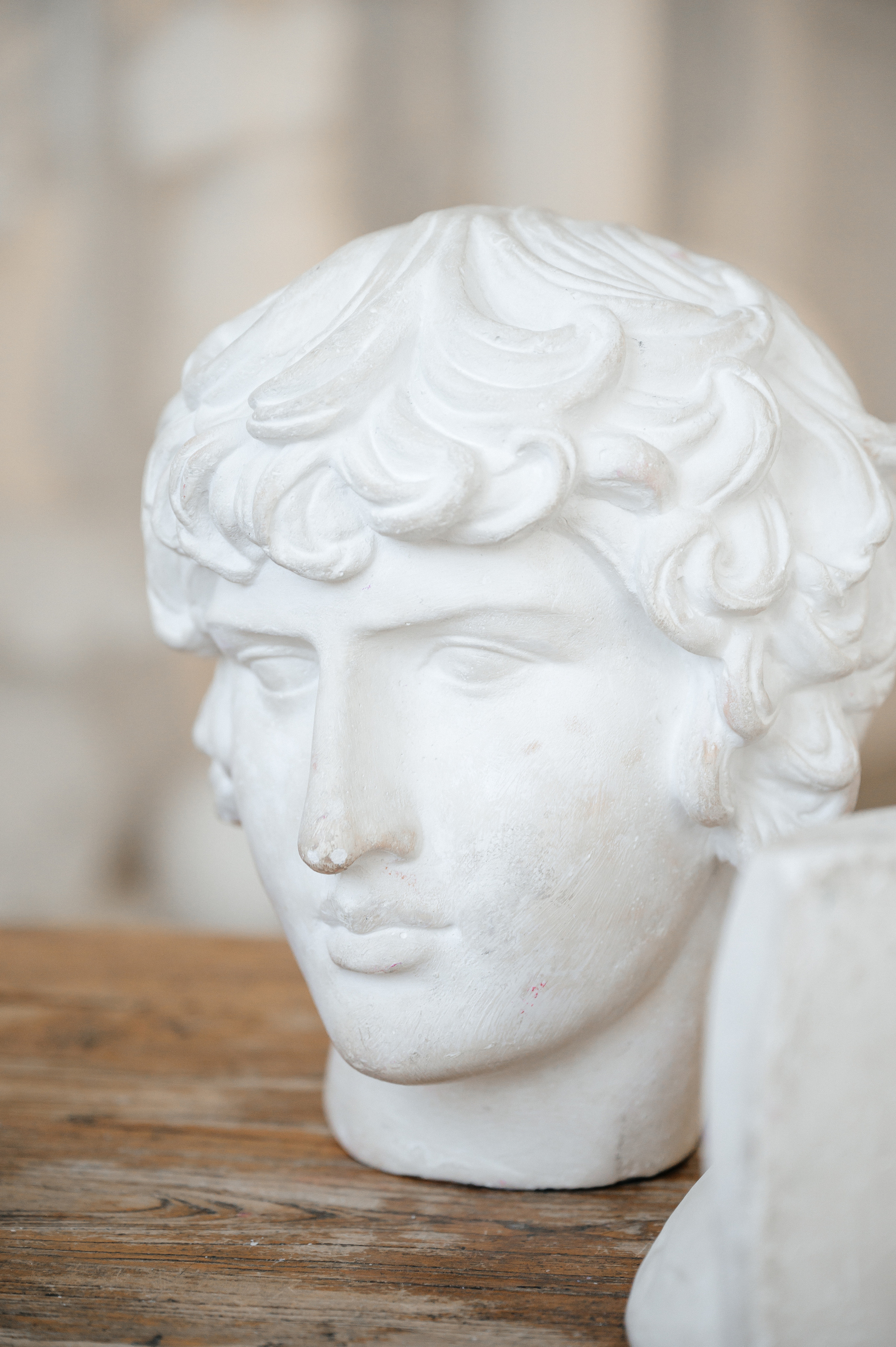 Художник. Свадебный видеограф в Москве Никонова Анна