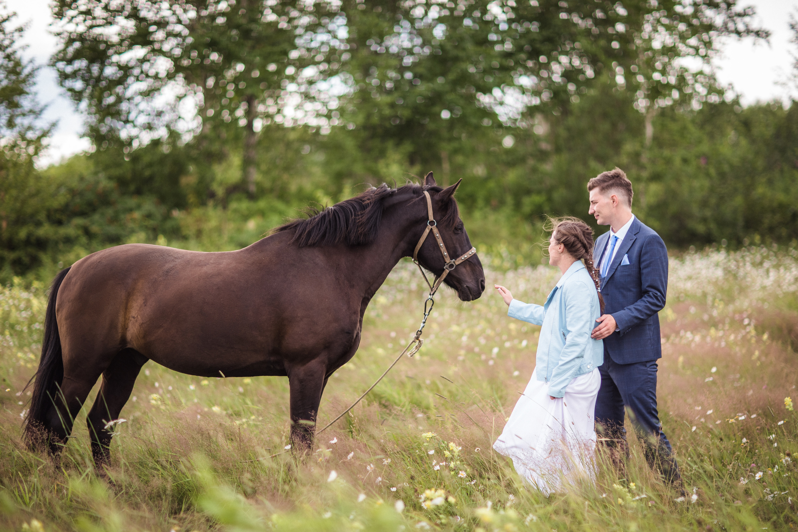 Дмитрий и Ксения  Свадебный фотограф Камчатка Панов Ян. Свадебный фотограф на Камчатке Ян Панов