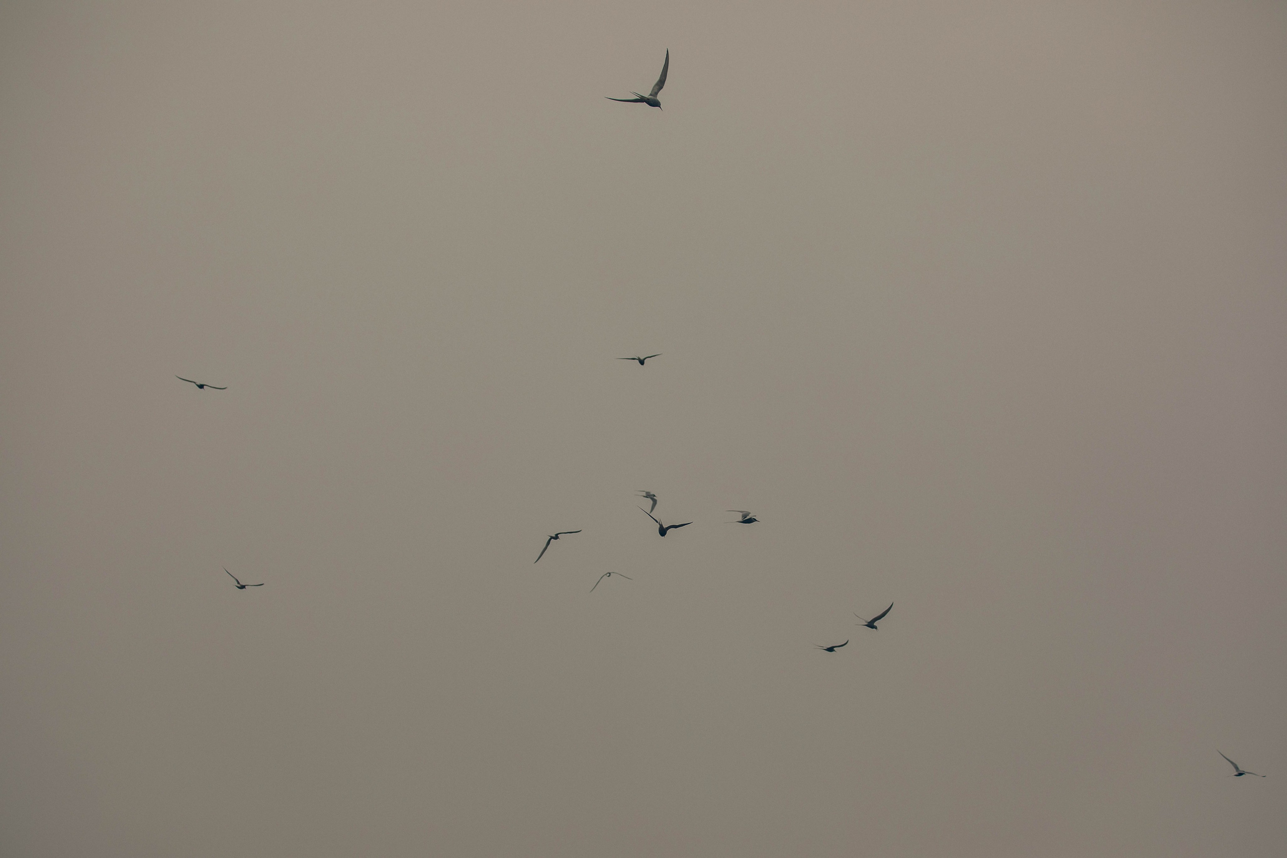 Кольский полуостров. Фотографирую для себя, своей семьи и друзей!