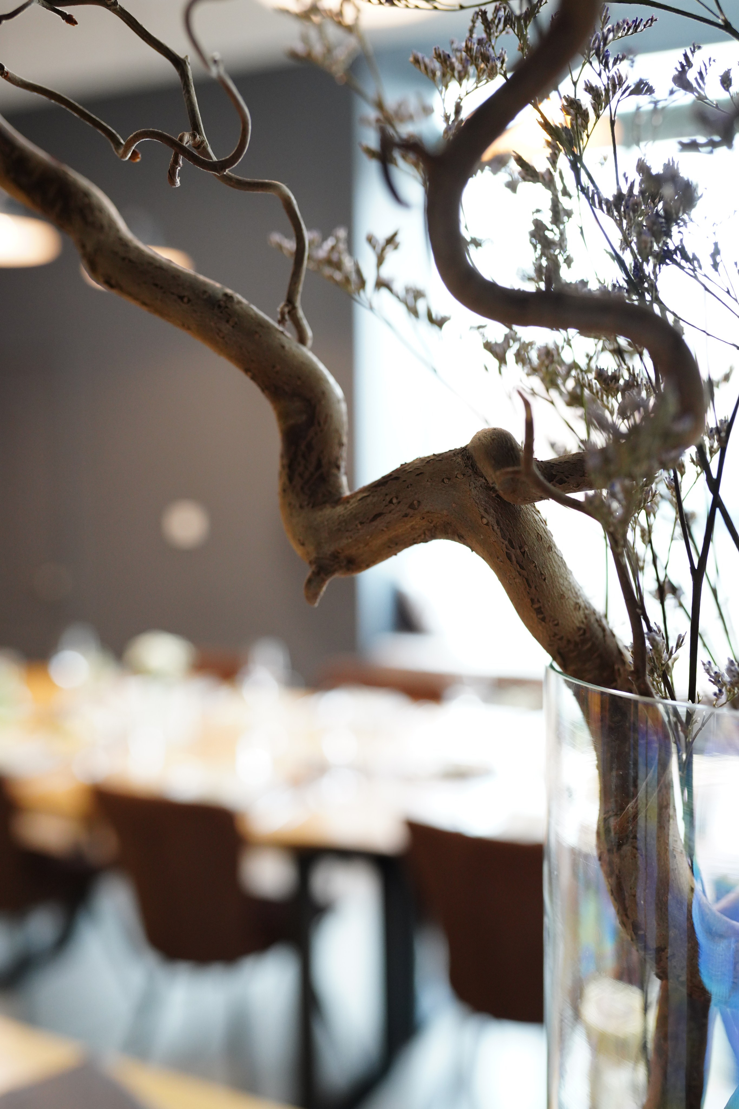 Традиция кейтеринг. Фотограф в Иркутске на все важные случаи жизни