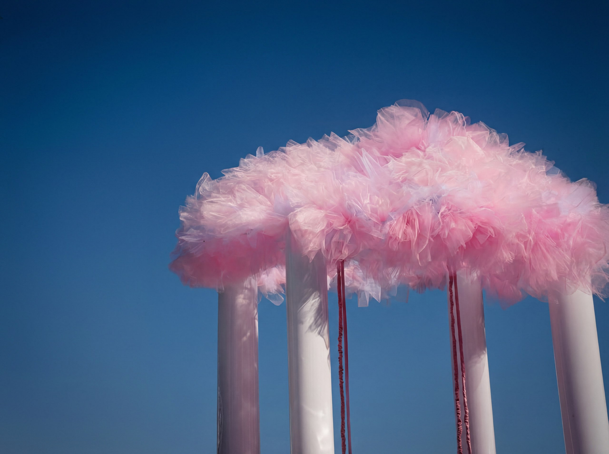 Wedding D&K. Фотограф в Иркутске на все важные случаи жизни