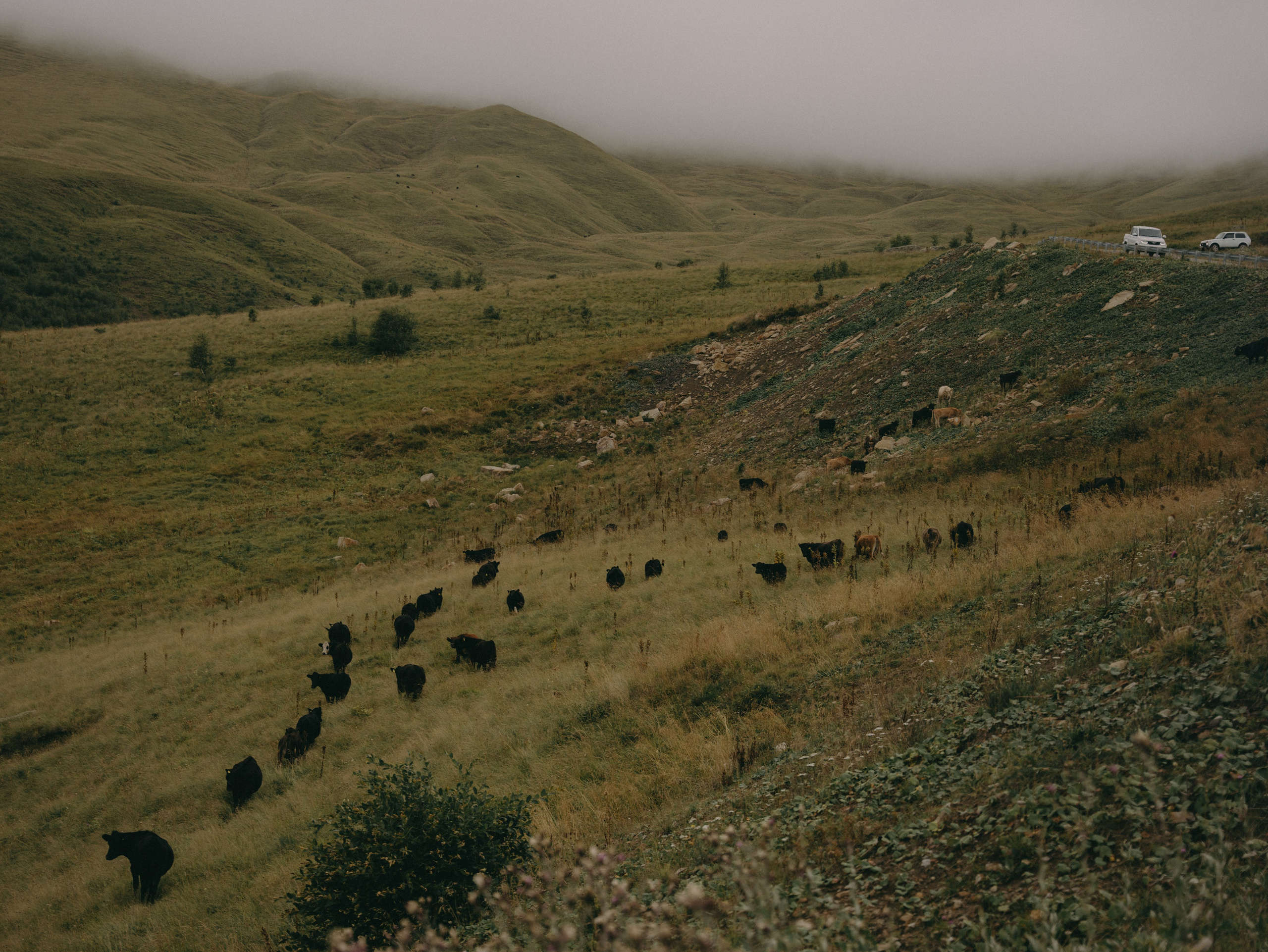 Сердце гор. Свадебный фотограф Ирина Беляева Пятигорск|Кисловодск|Эльбрус|Домбай