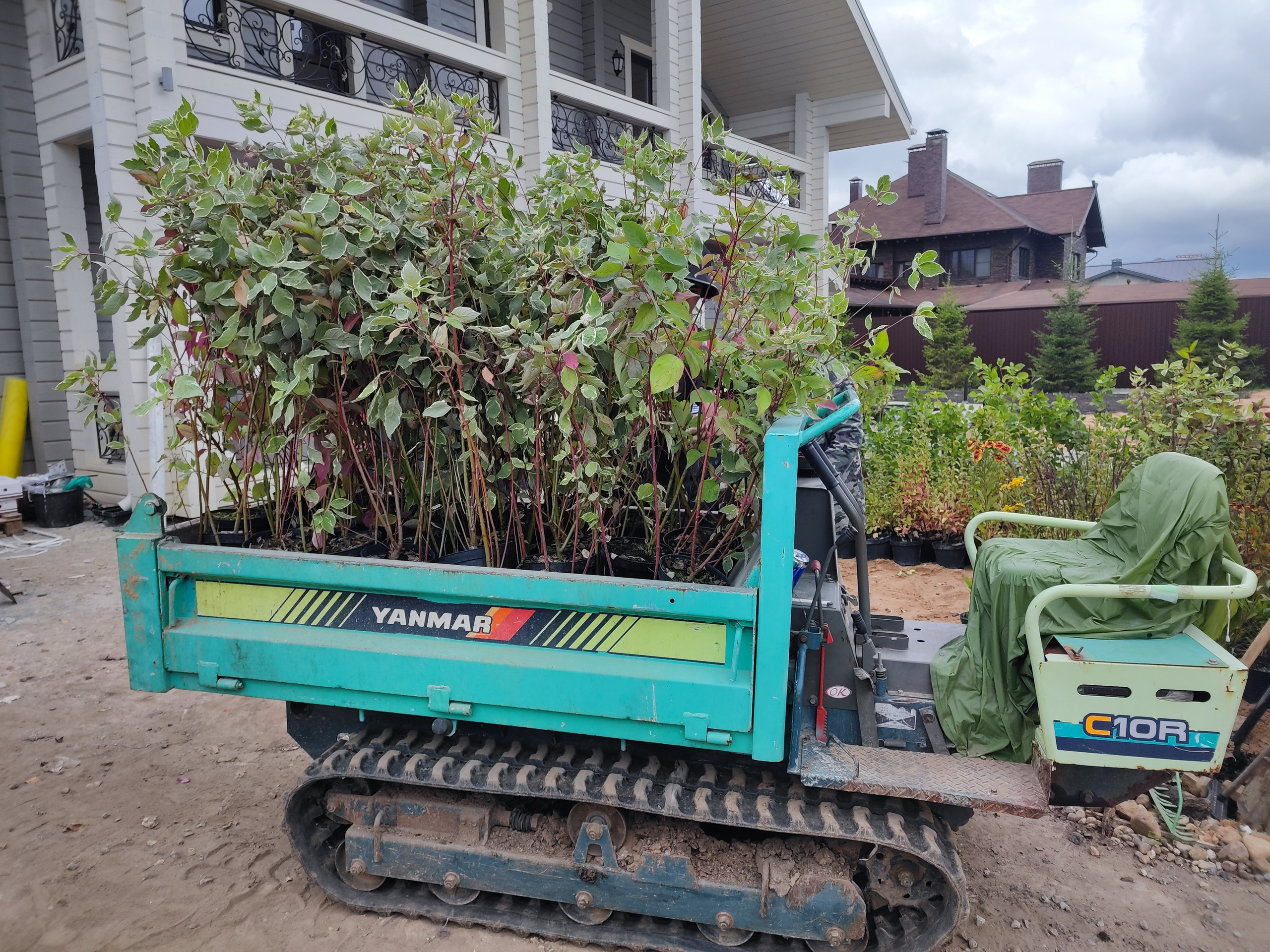 Подбор и посадка растений. Все виды ландшафтных и строительных работ