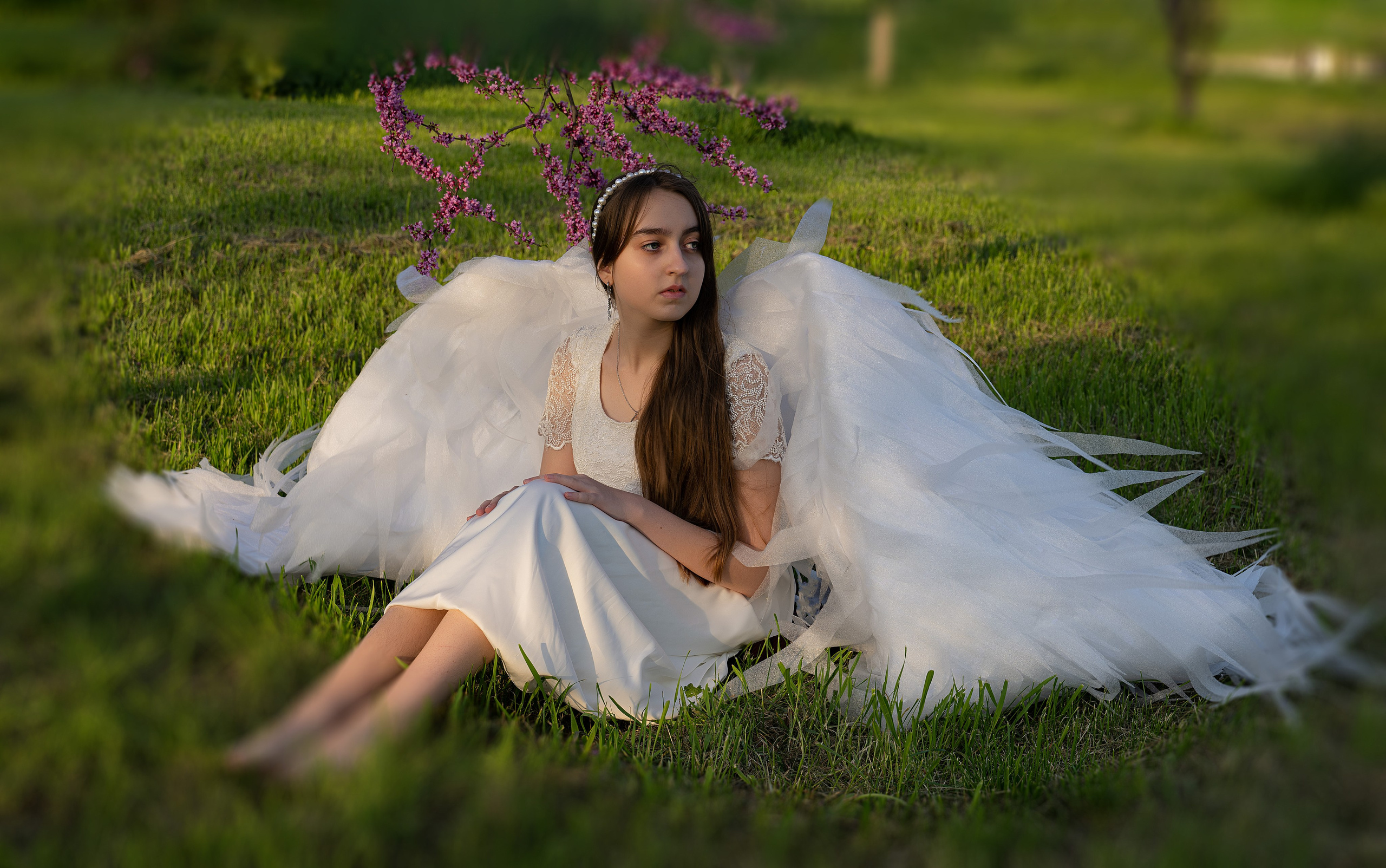 Крылатые истории. Главная