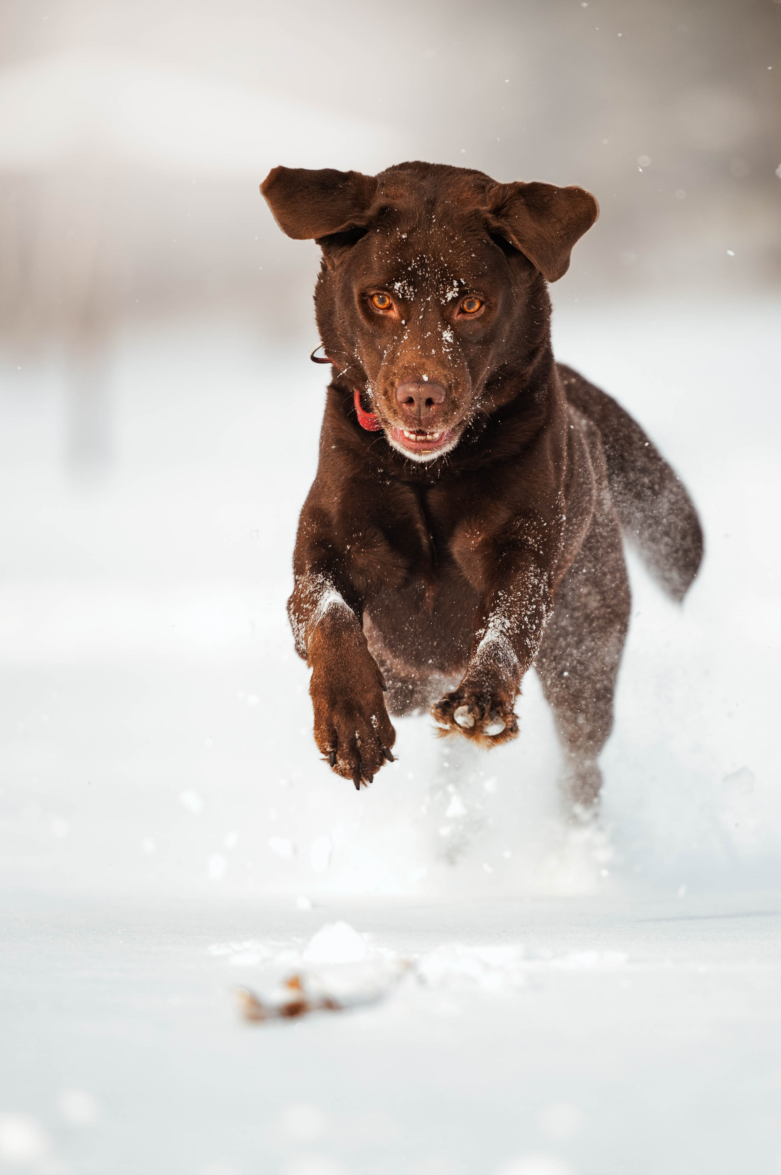 Прогулка на Лыткаринском карьере. Фотограф-анималист