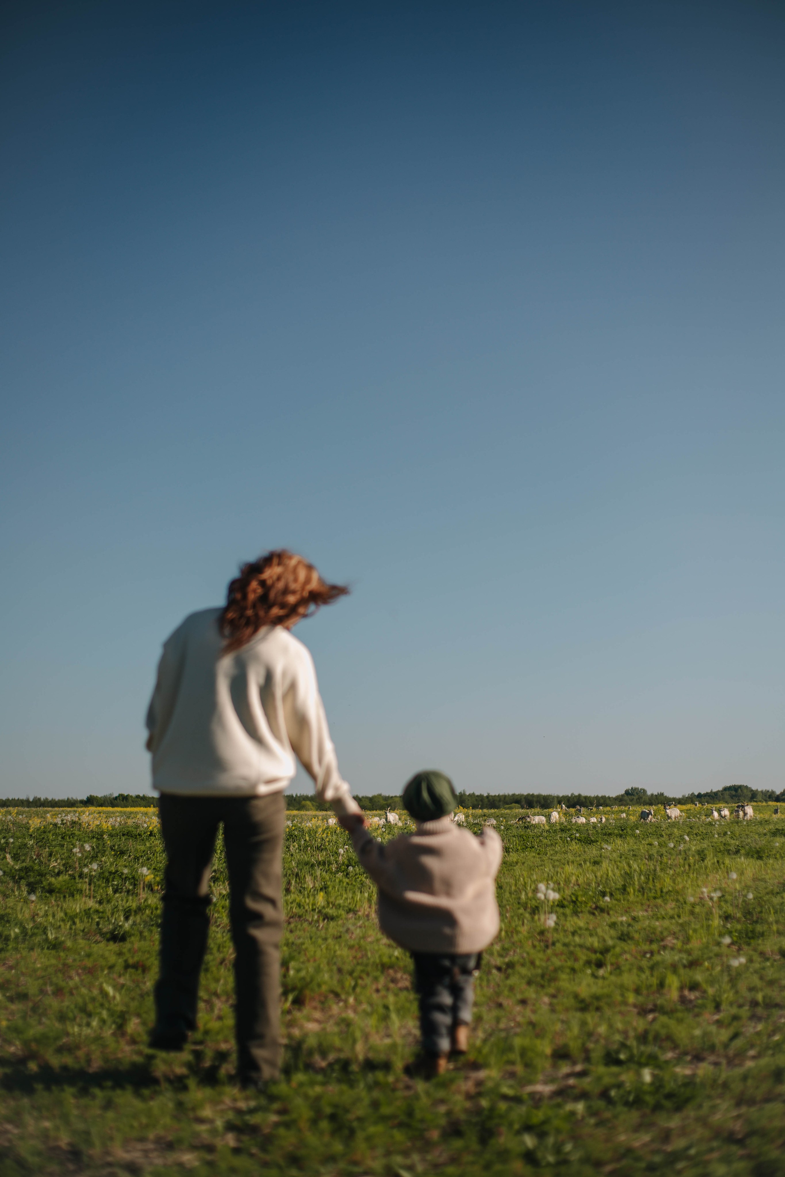 Юлия и Тимур. Фотограф Дарья Маташкова
