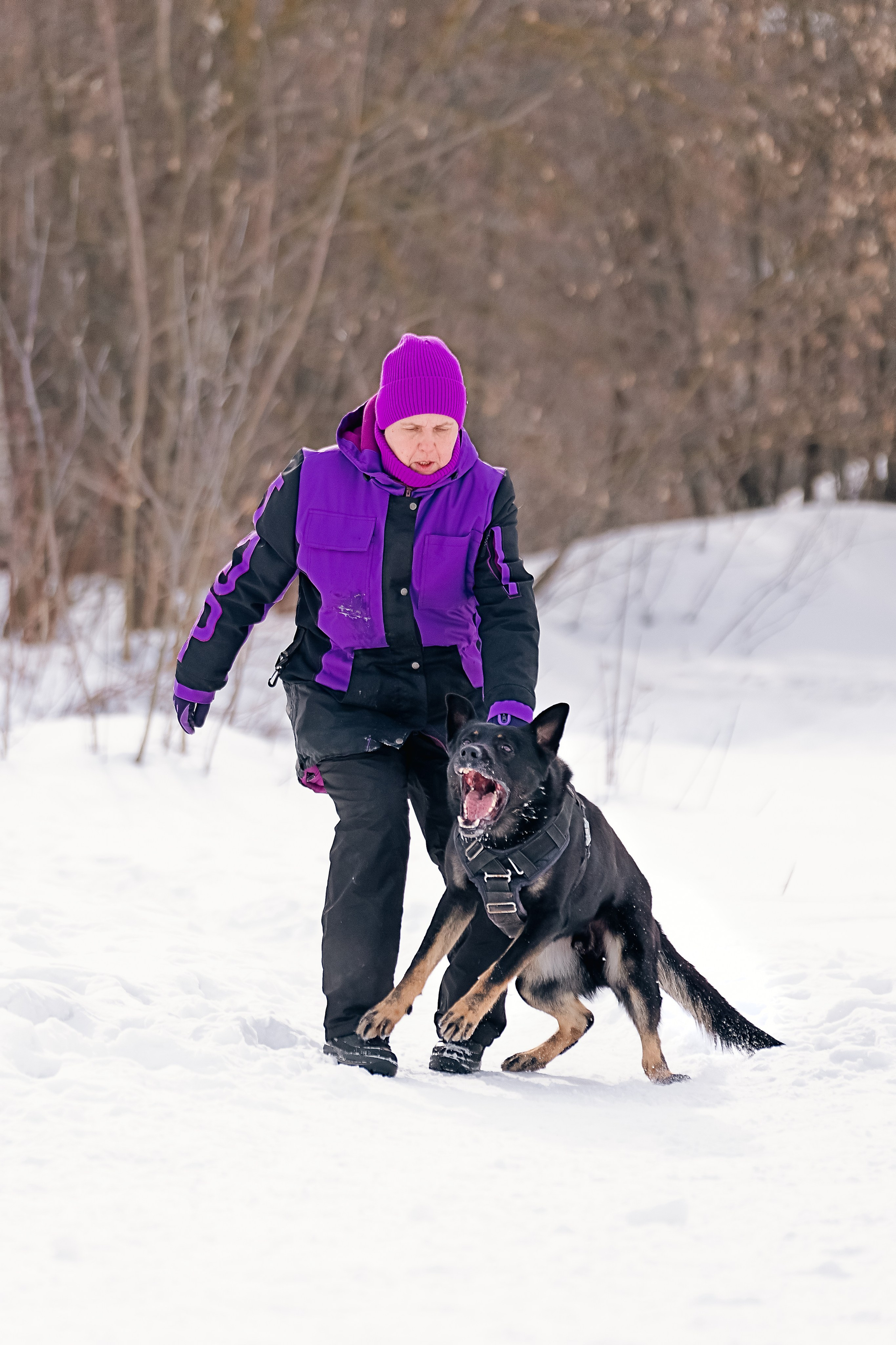 Репортажная съемка. Фотограф-анималист Нижний Новгород