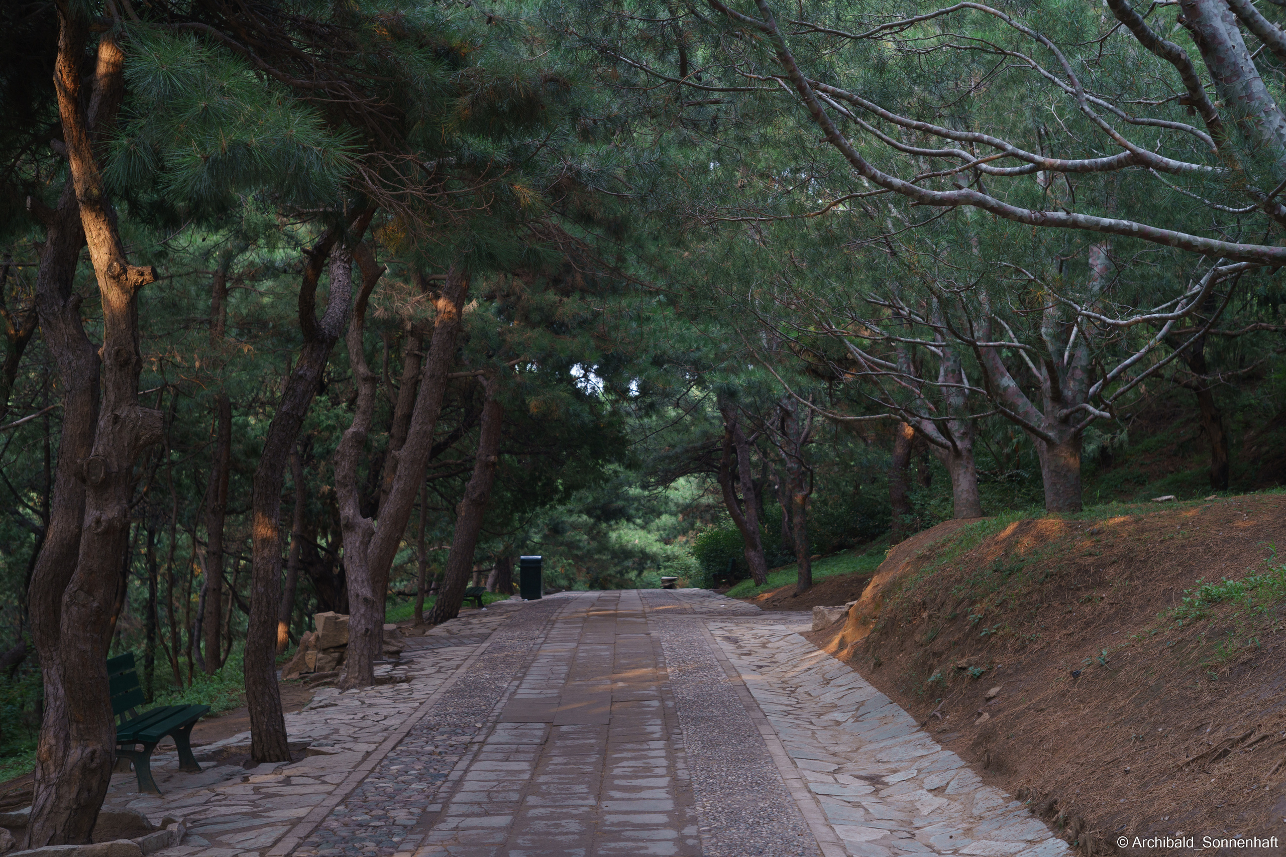 🇨🇳 北京 (Beijng), 2019.07. Photographer in Guangzhou, China. Archibald Sonnenhaft