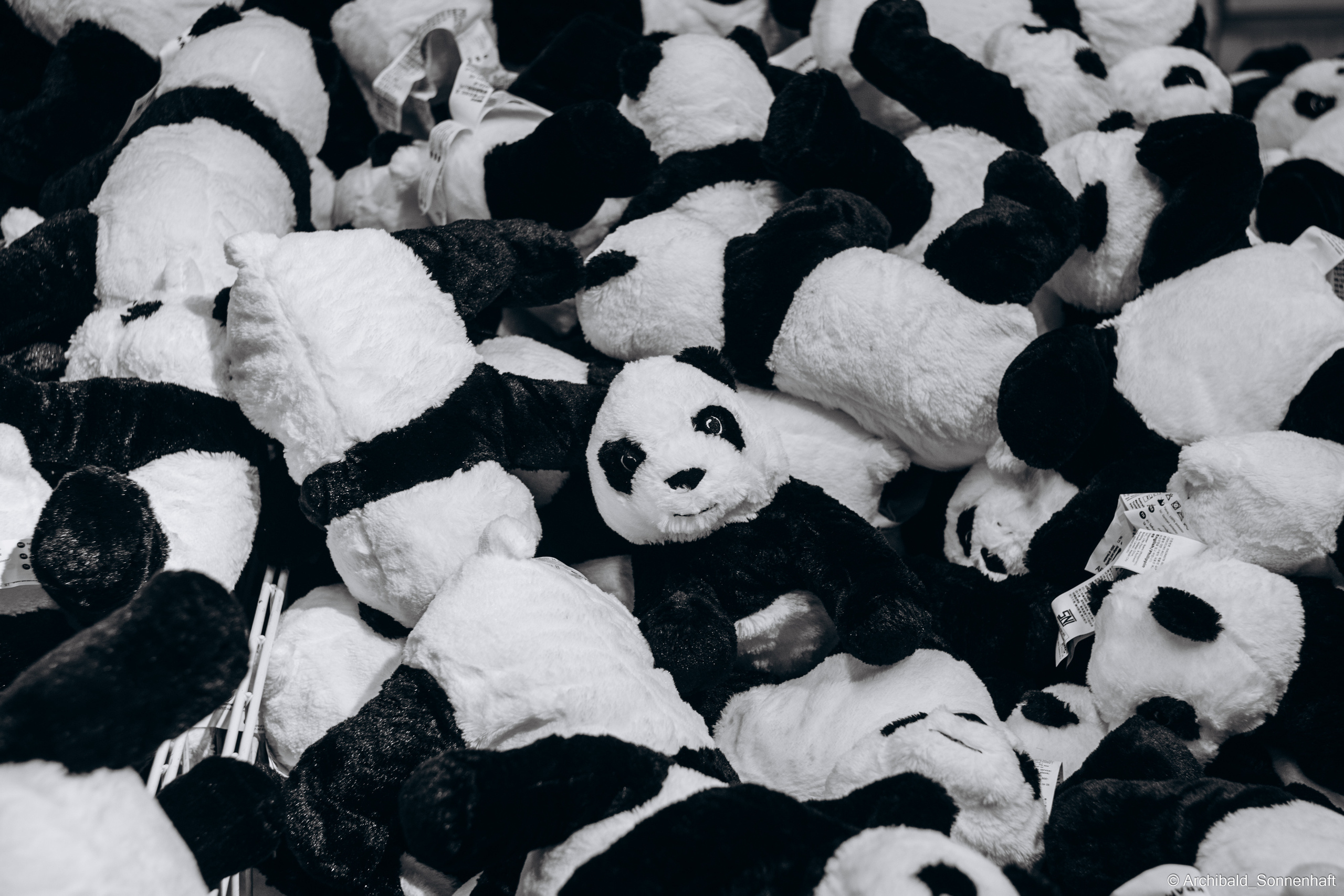 China through my eyes for 2018-nowdays. Photographer in Guangzhou, China. Archibald Sonnenhaft