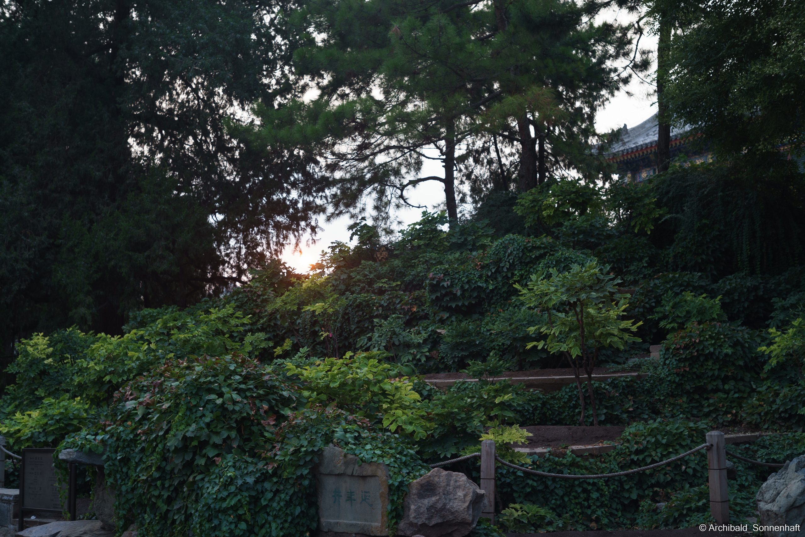 🇨🇳 北京 (Beijng), 2019.07. Photographer in Guangzhou, China. Archibald Sonnenhaft