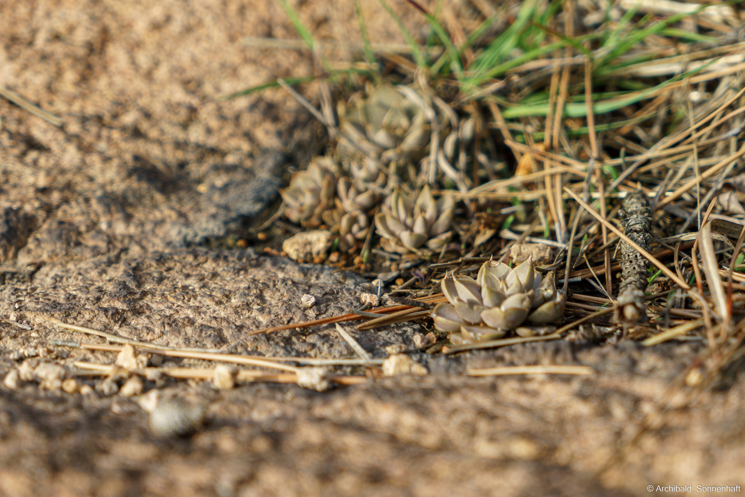 Qingdao or Qingtao — city of beer and european architecture. Photographer in Guangzhou, China. Archibald Sonnenhaft