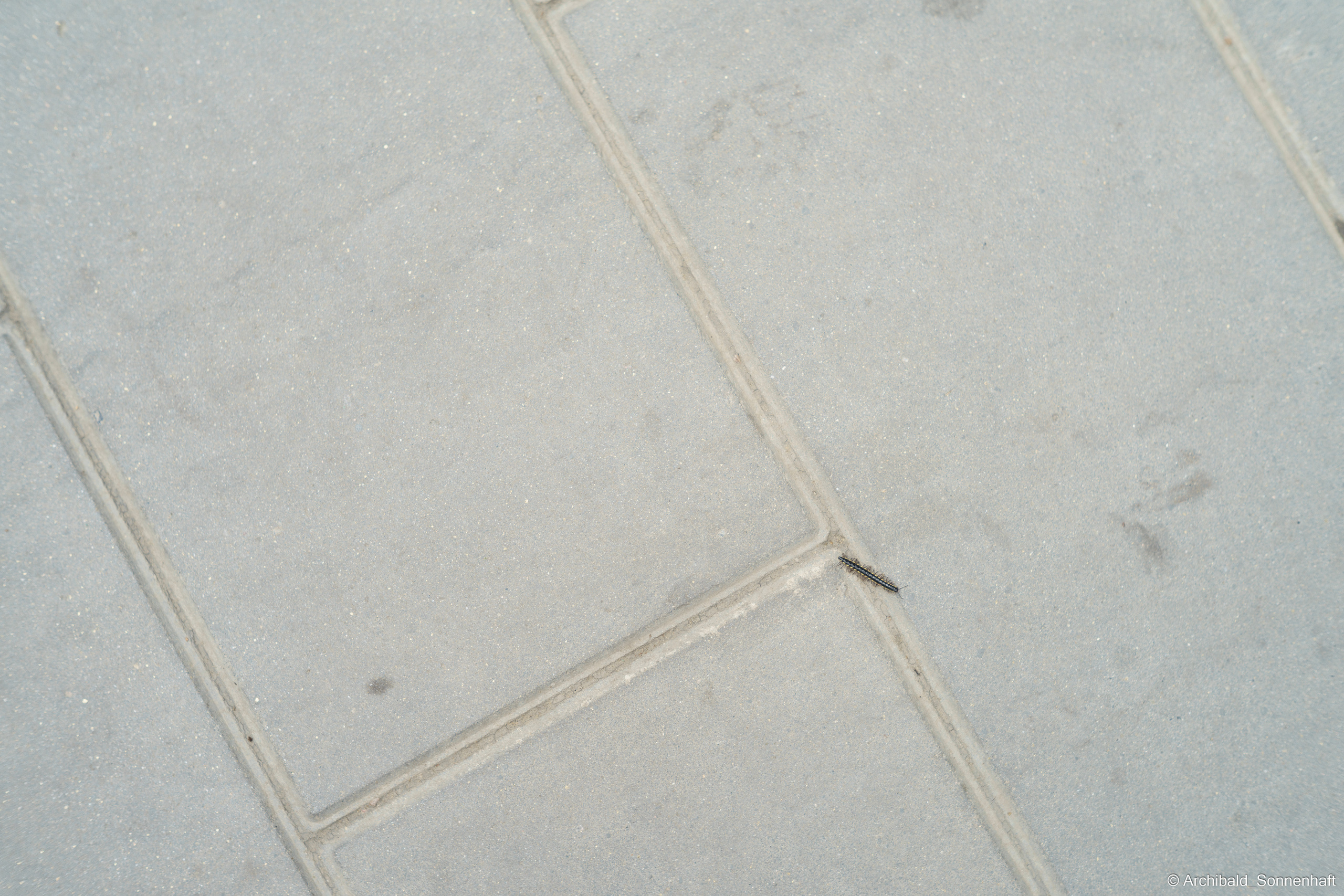 🇨🇳 北京 (Beijng), 2019.07. Photographer in Guangzhou, China. Archibald Sonnenhaft