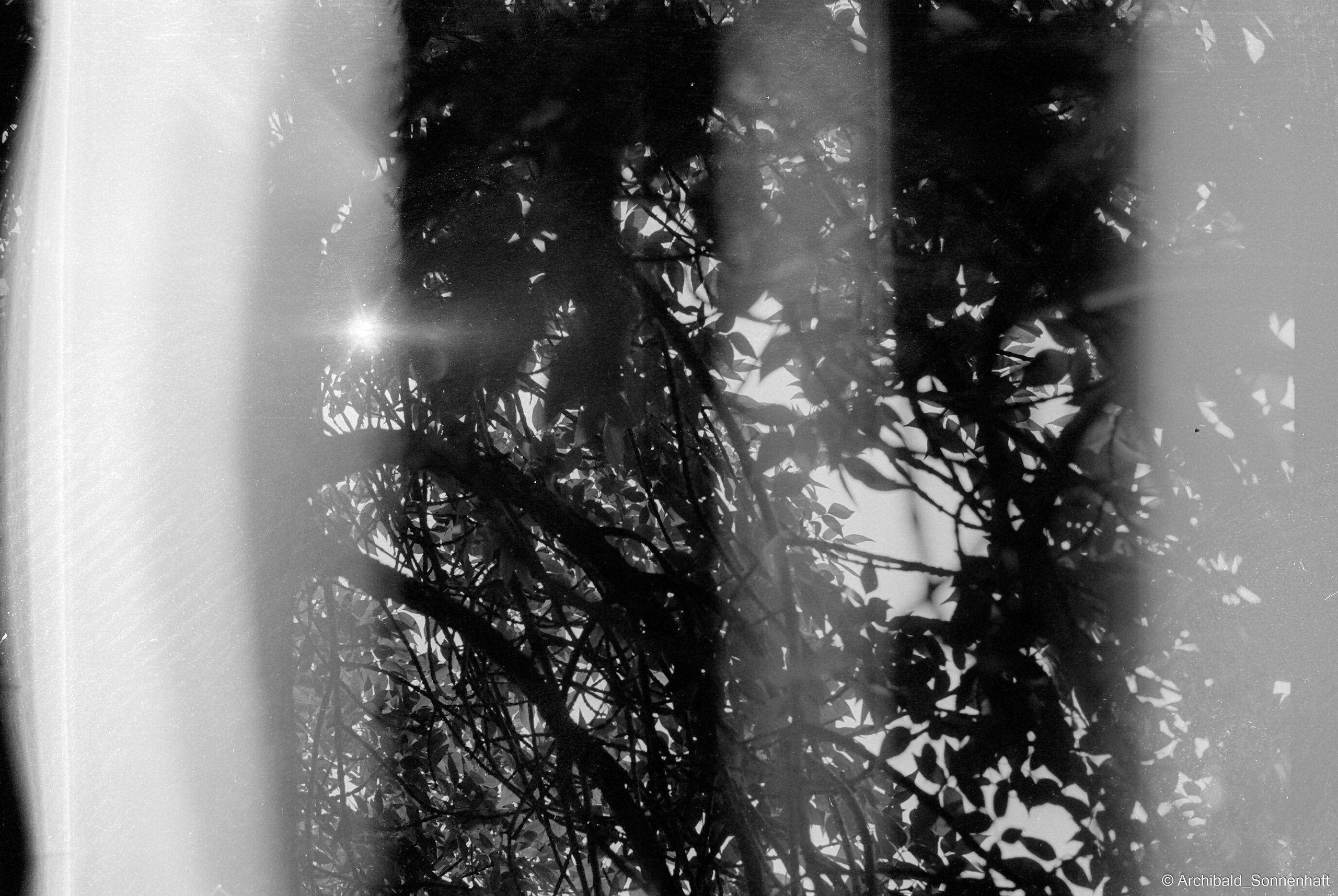 Yep, using film. Photographer in Guangzhou, China. Archibald Sonnenhaft