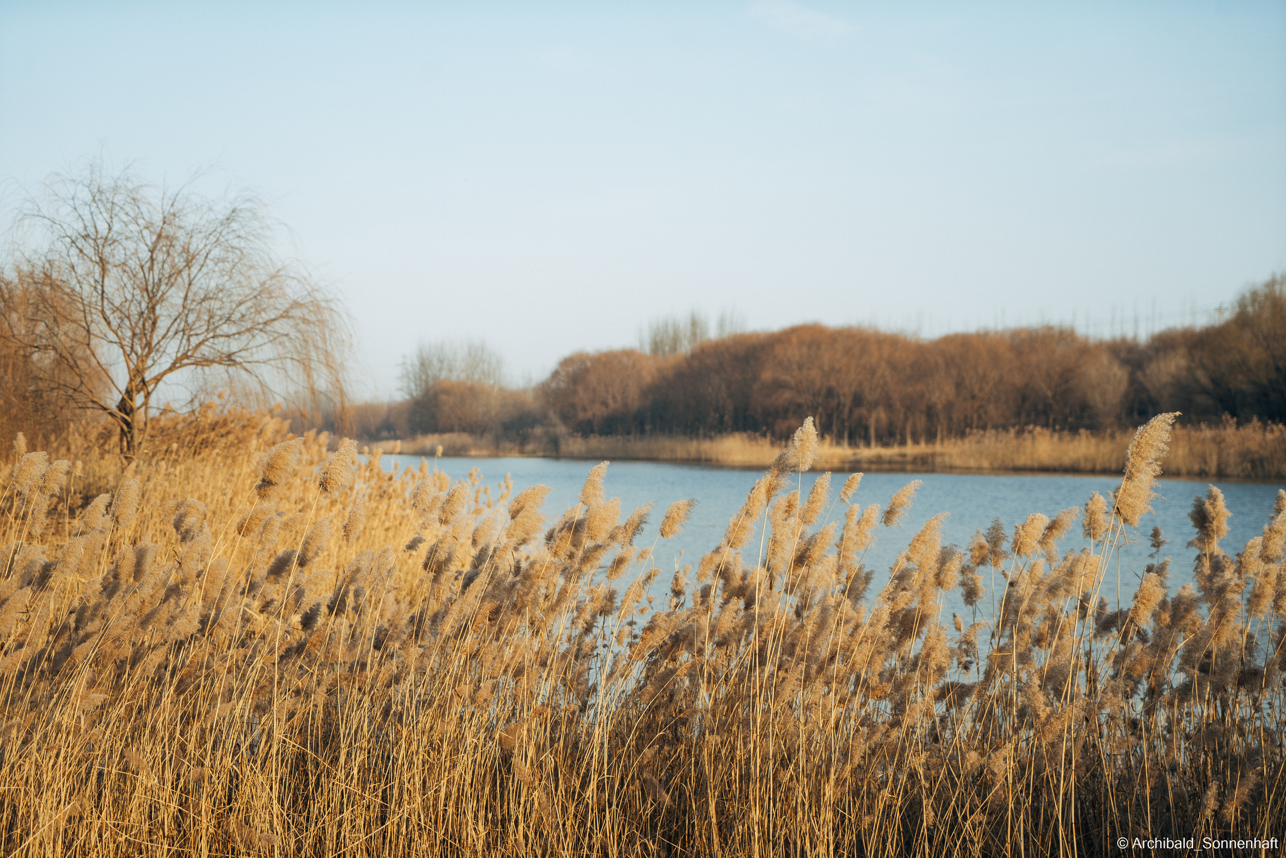 Lu Heng, Student of Tianjin University. Photographer in Guangzhou, China. Archibald Sonnenhaft