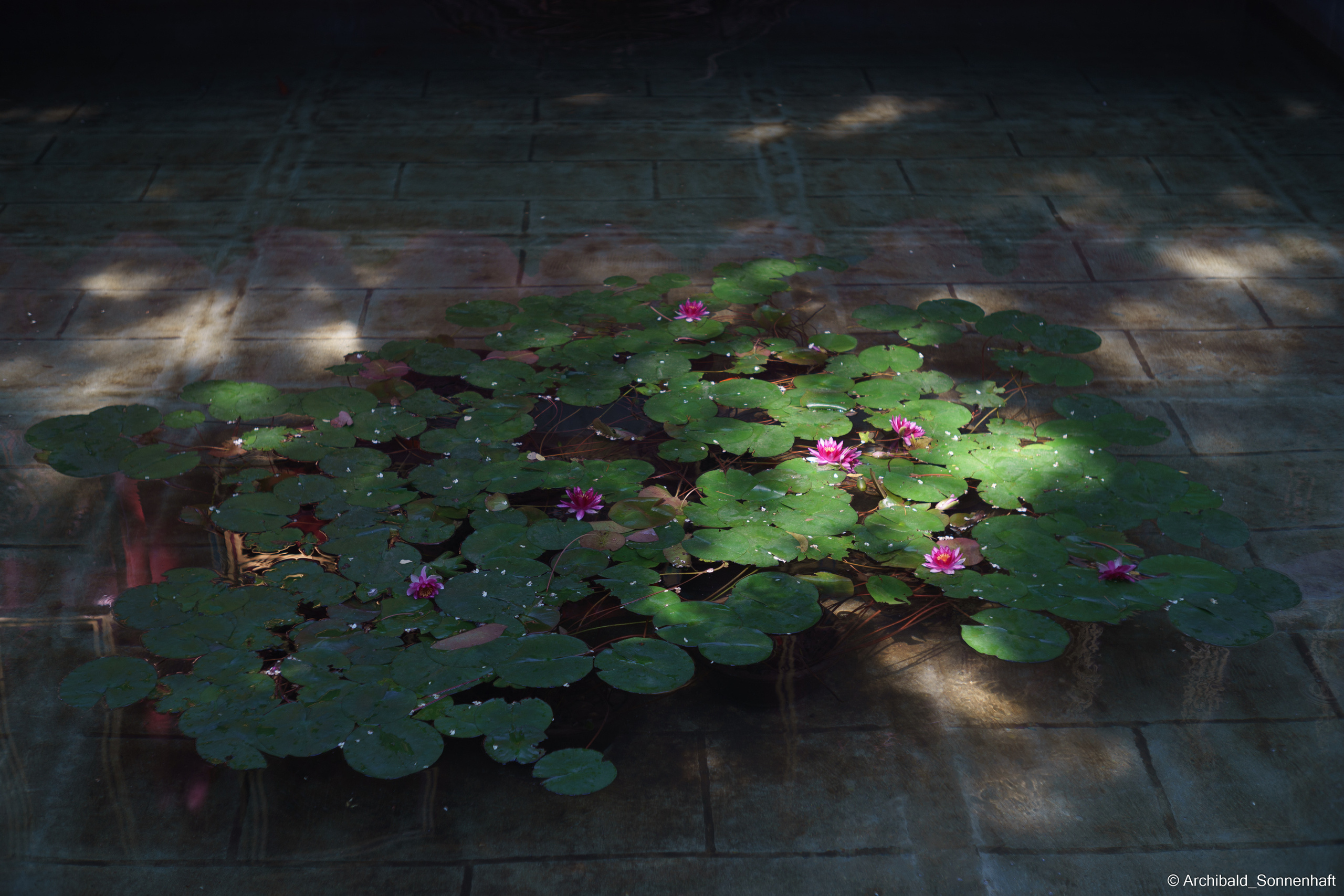 🇨🇳 北京 (Beijng), 2019.07. Photographer in Guangzhou, China. Archibald Sonnenhaft