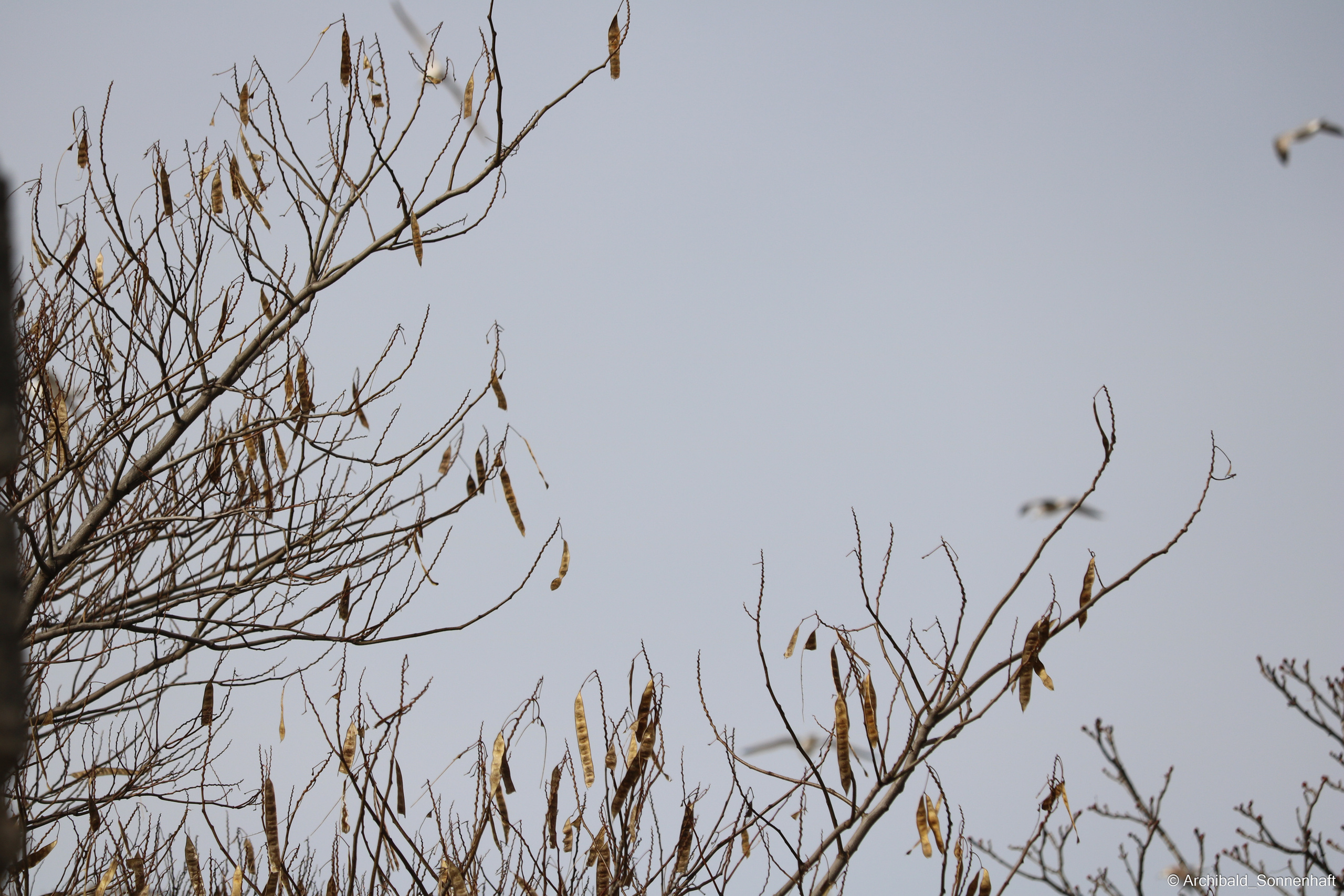 🇹🇷 Istambul, 2018-03. Photographer in Guangzhou, China. Archibald Sonnenhaft