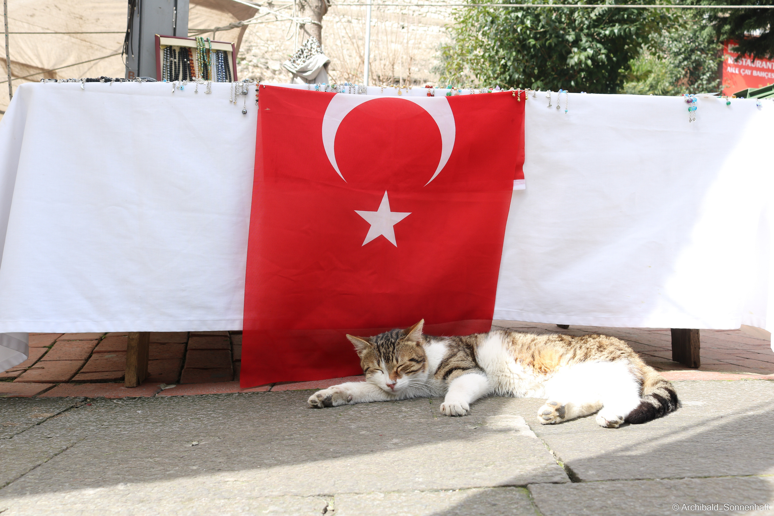 🇹🇷 Istambul, 2018-03. Photographer in Guangzhou, China. Archibald Sonnenhaft
