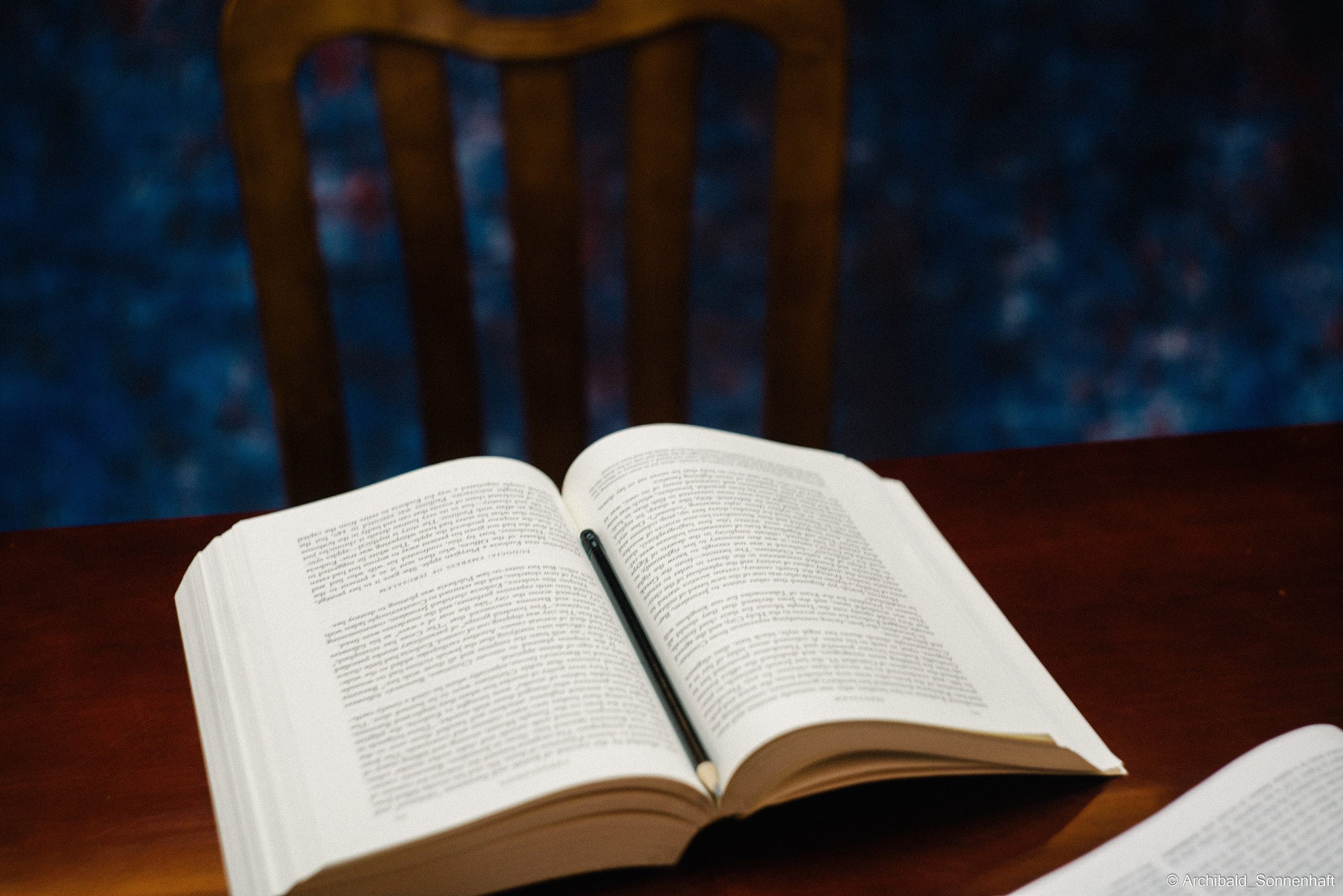 谭璐珩 (Tan Lu Heng), 2021-11. Photographer in Guangzhou, China. Archibald Sonnenhaft