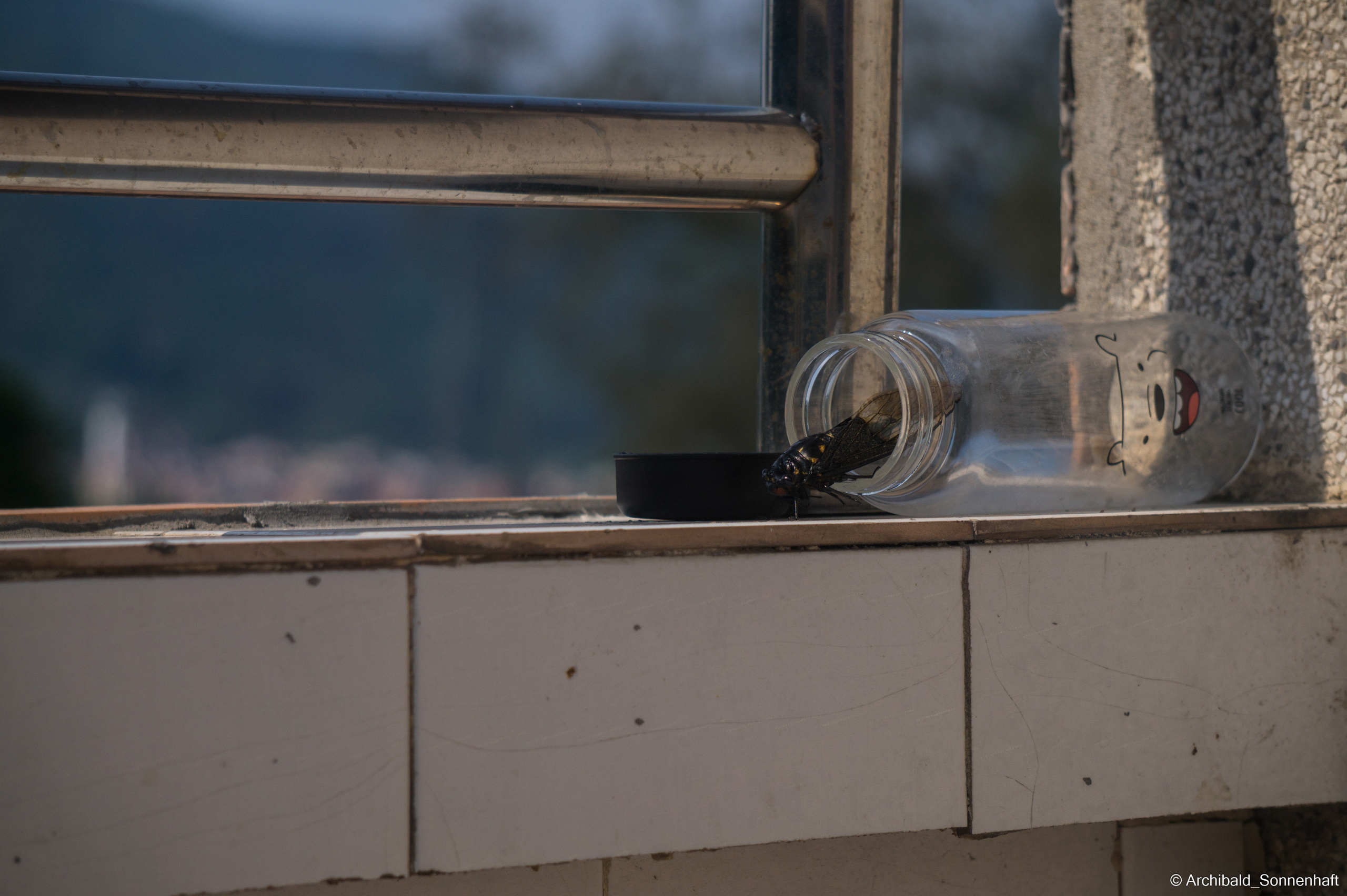 My first year of independent living, my first year in china, Guangzhou. Photographer in Guangzhou, China. Archibald Sonnenhaft