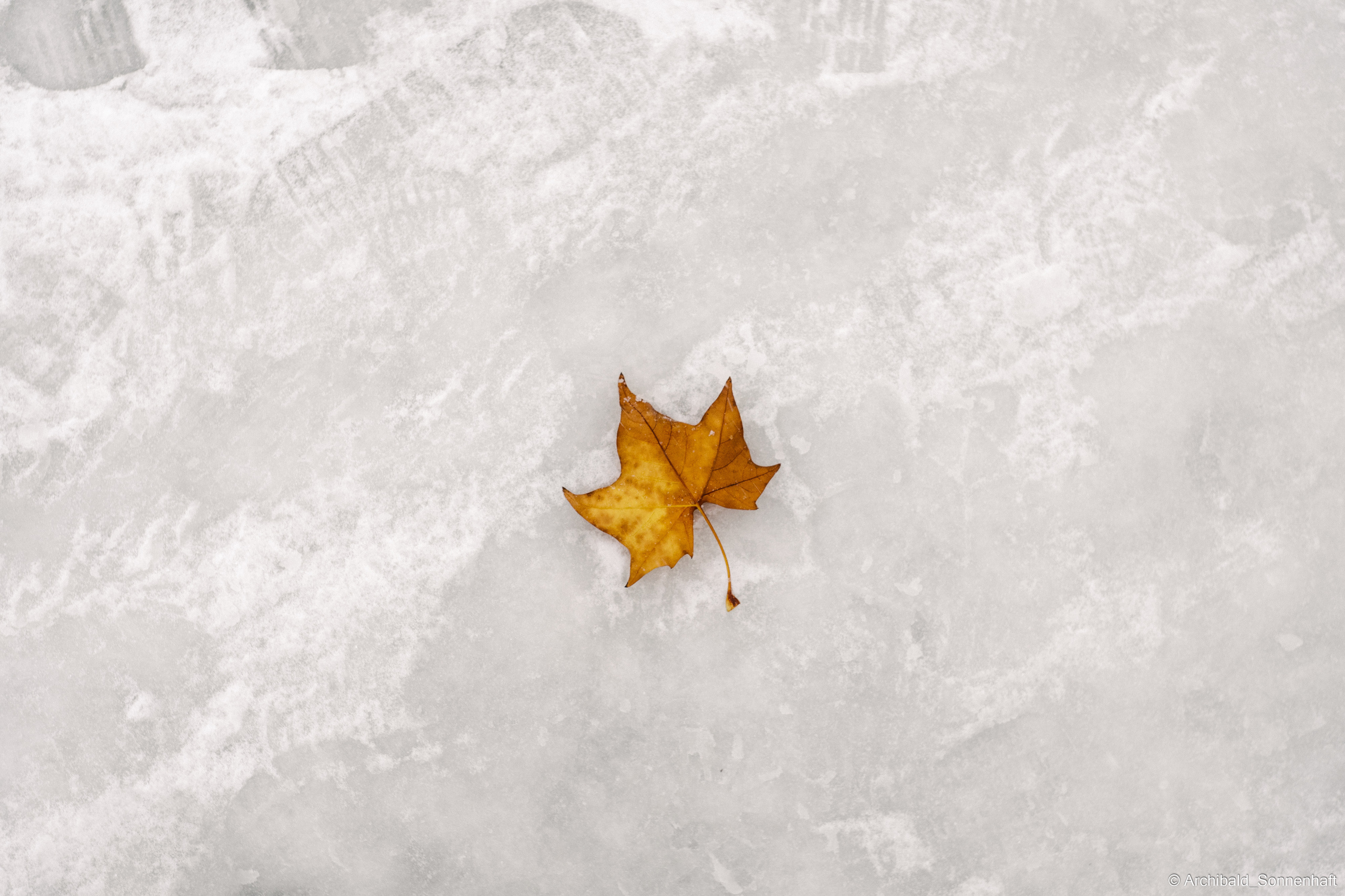 Points lines and planes among us. Photographer in Guangzhou, China. Archibald Sonnenhaft