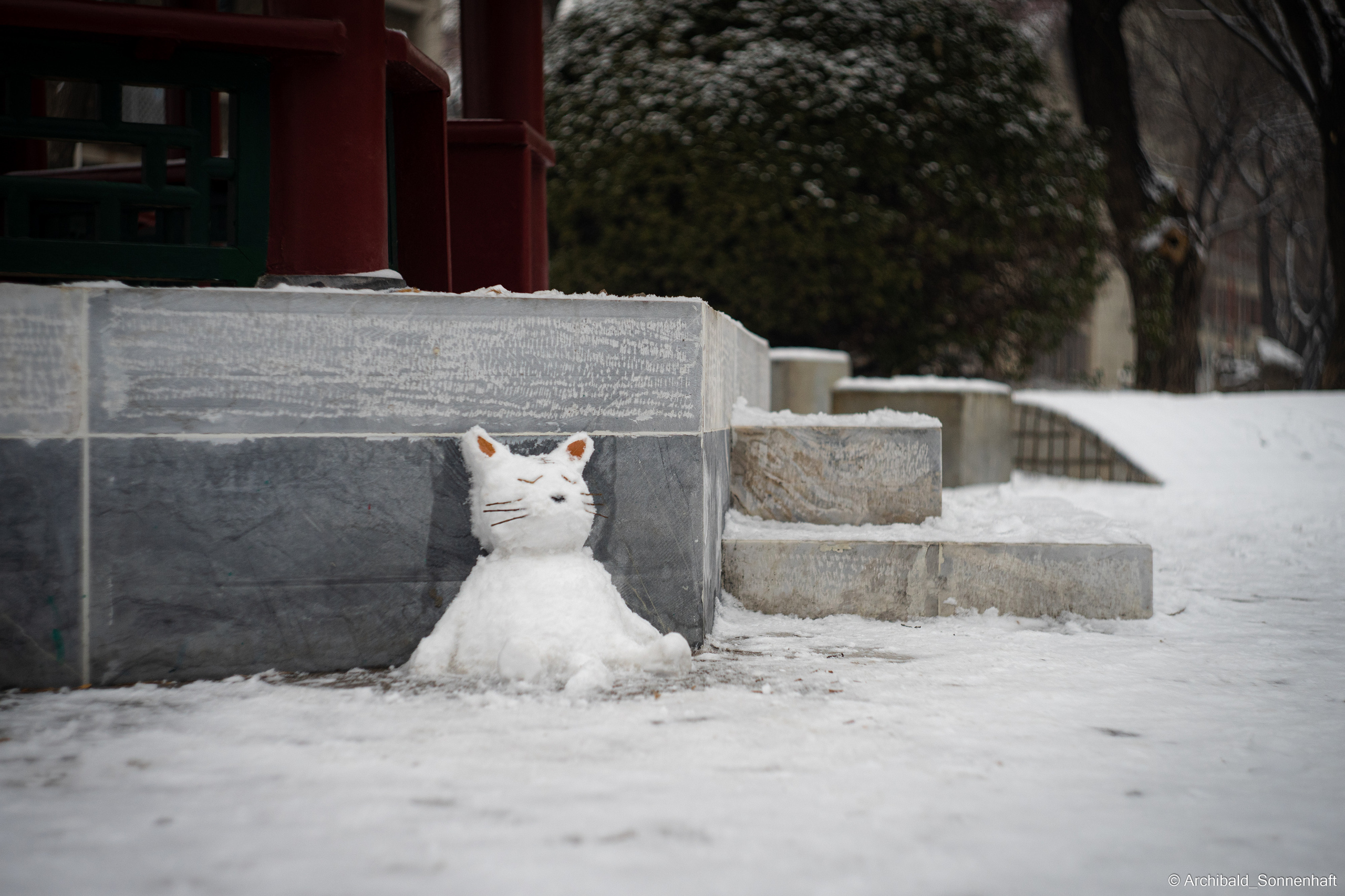 Juan, Student of the SIE, Tianjin University. Photographer in Guangzhou, China. Archibald Sonnenhaft