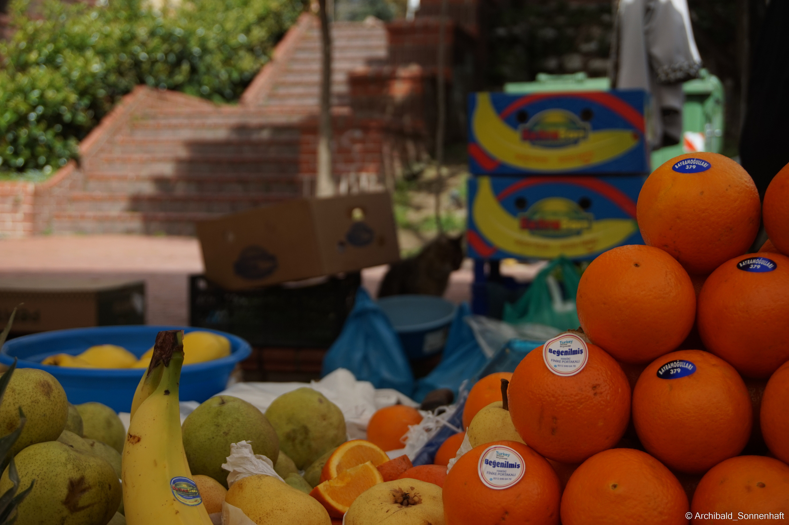 🇹🇷 Istambul, 2018-03. Photographer in Guangzhou, China. Archibald Sonnenhaft