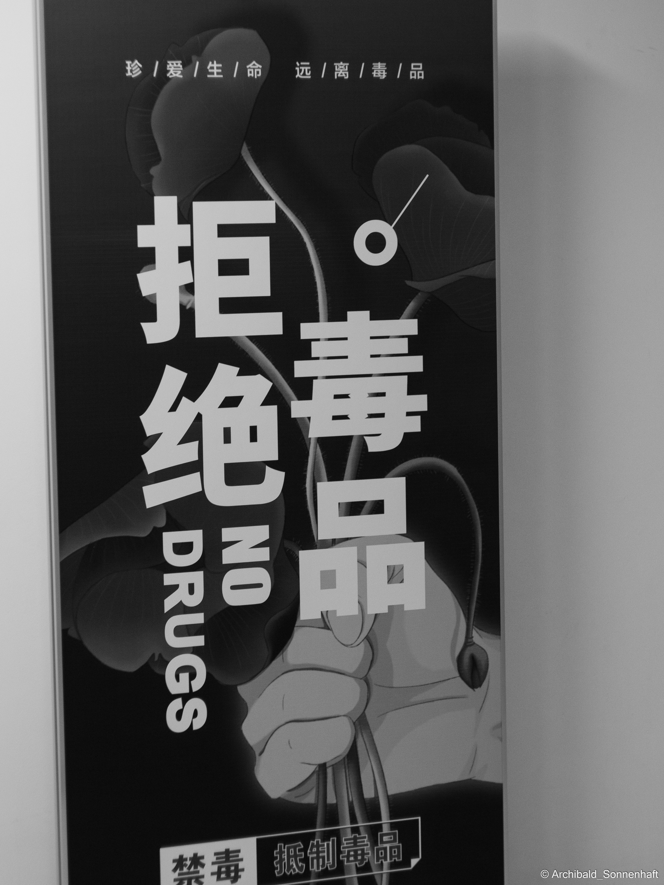 The material embodiment of human language!. Photographer in Guangzhou, China. Archibald Sonnenhaft