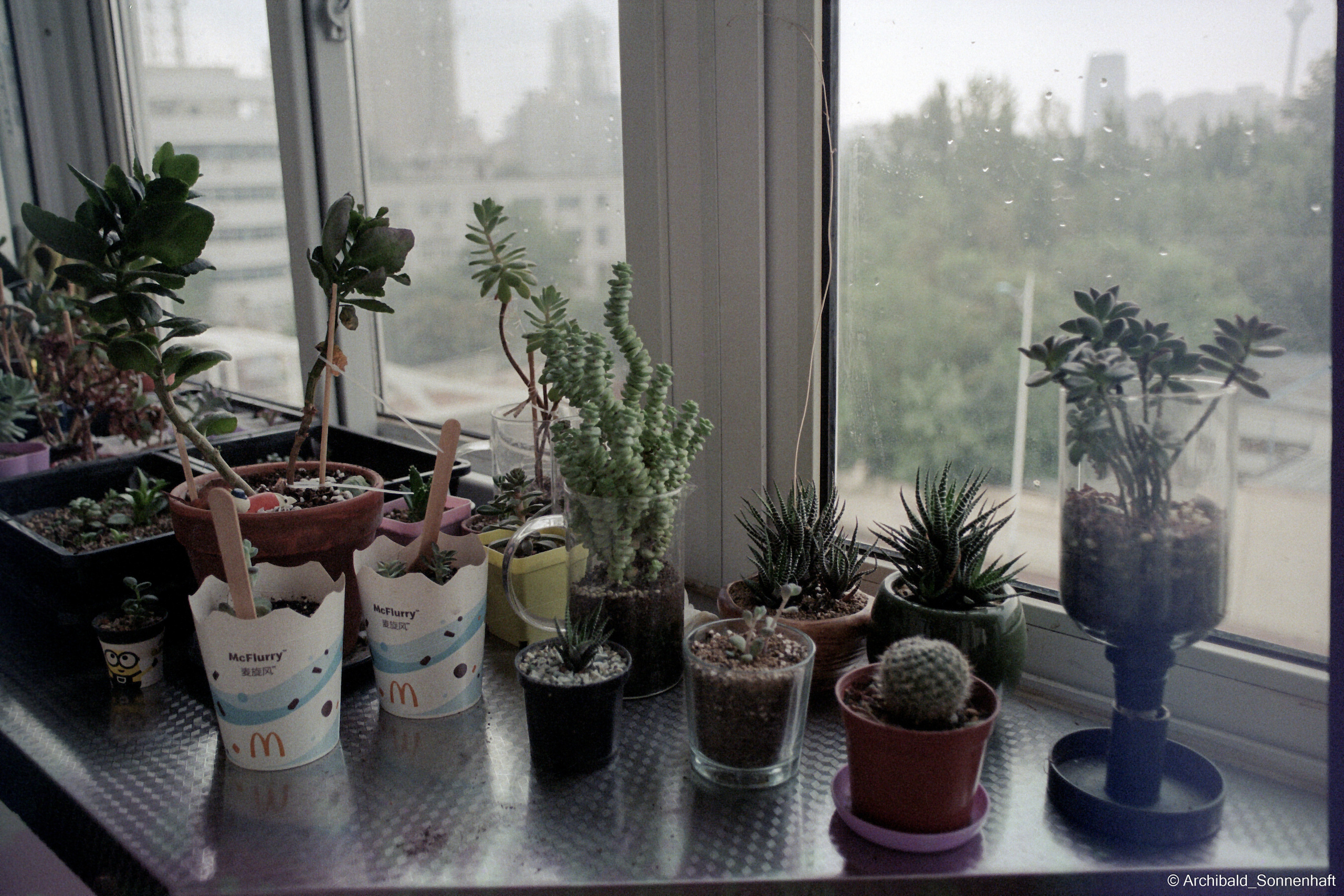 Yep, using film. Photographer in Guangzhou, China. Archibald Sonnenhaft