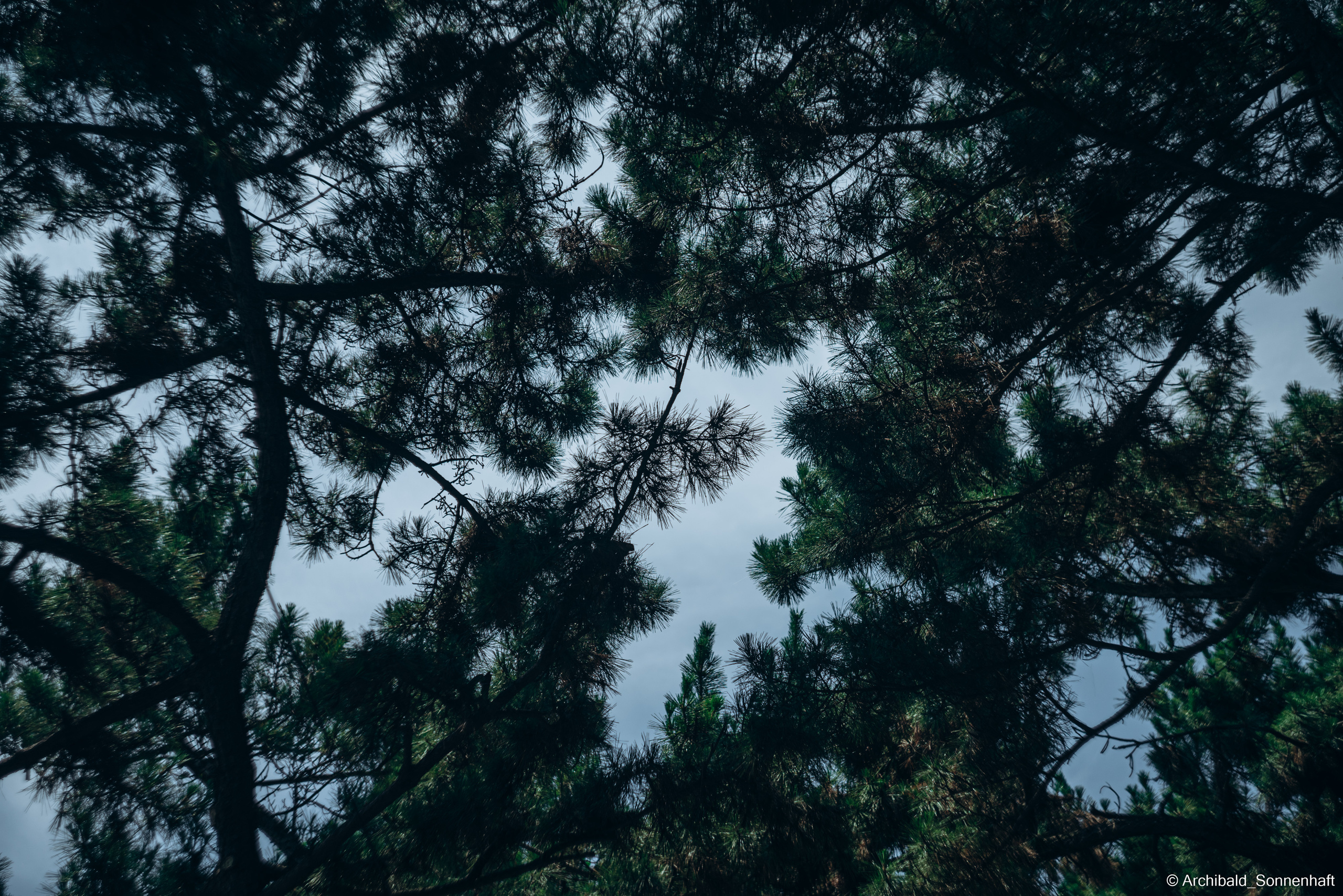 🇨🇳 北戴河, 秦皇岛 (BeiDaiHe, QingHuangDao), 2021-07. Photographer in Guangzhou, China. Archibald Sonnenhaft